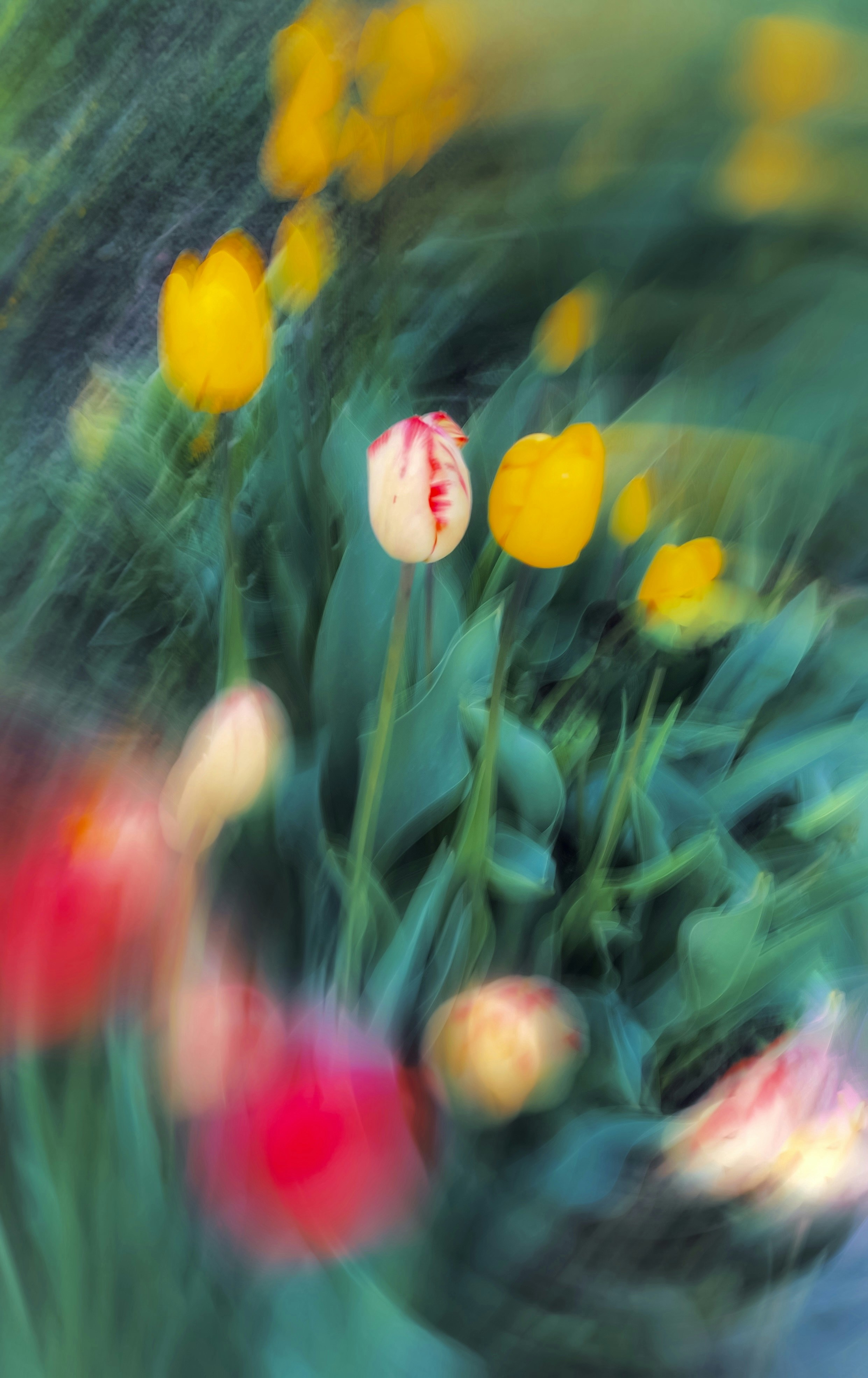 Photo by eugene_golovesov