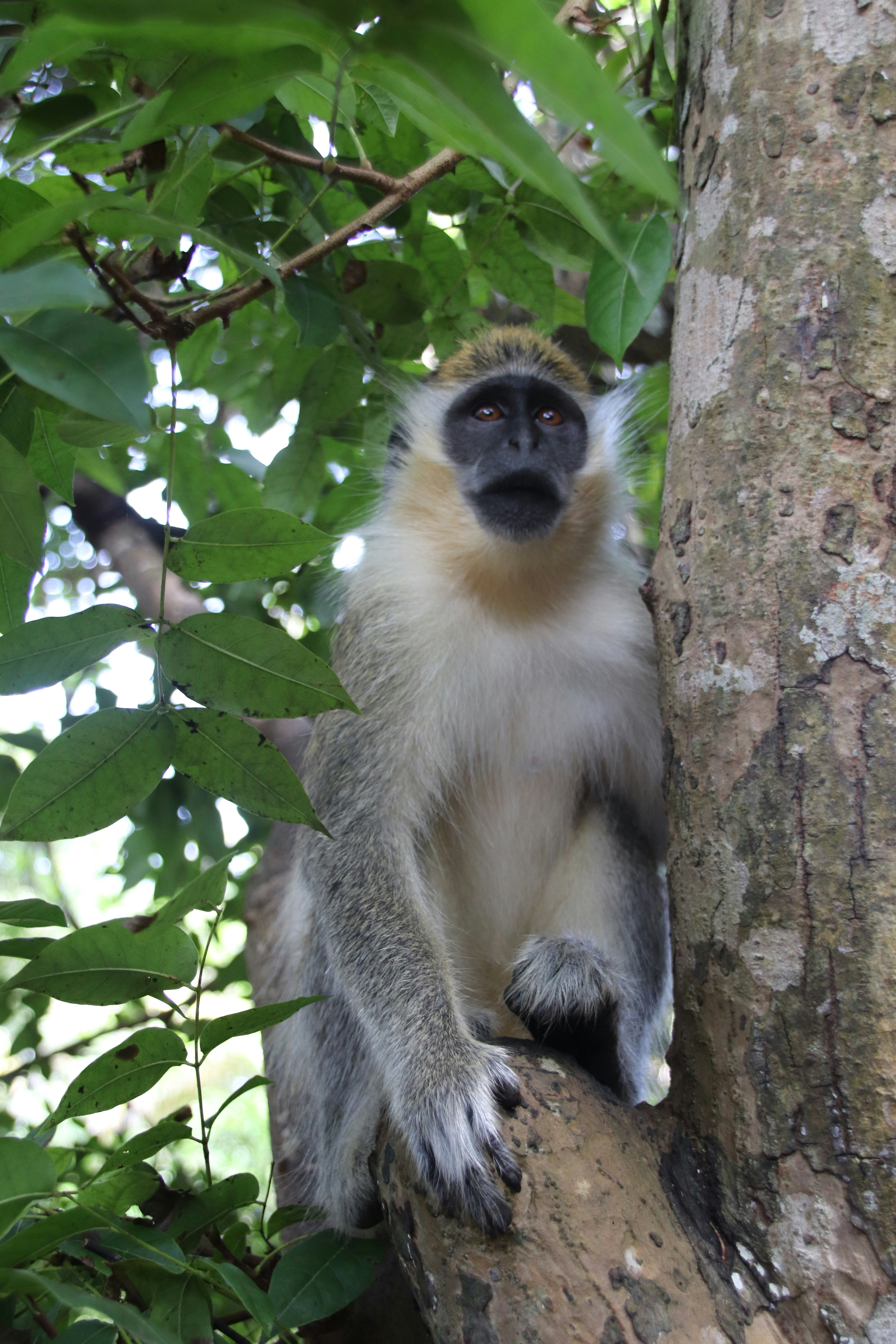 Photo by tanyabarrow