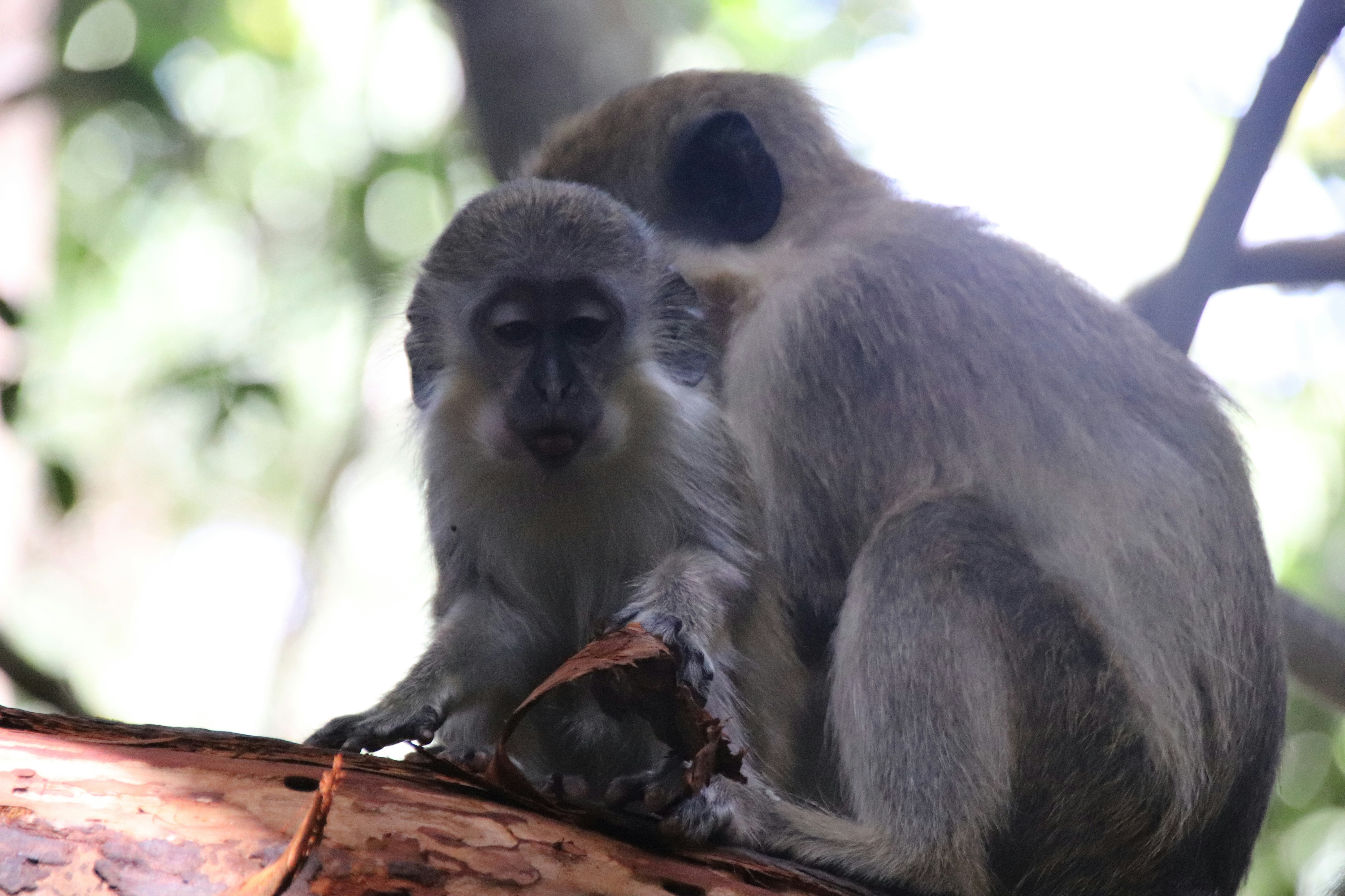 Photo by tanyabarrow