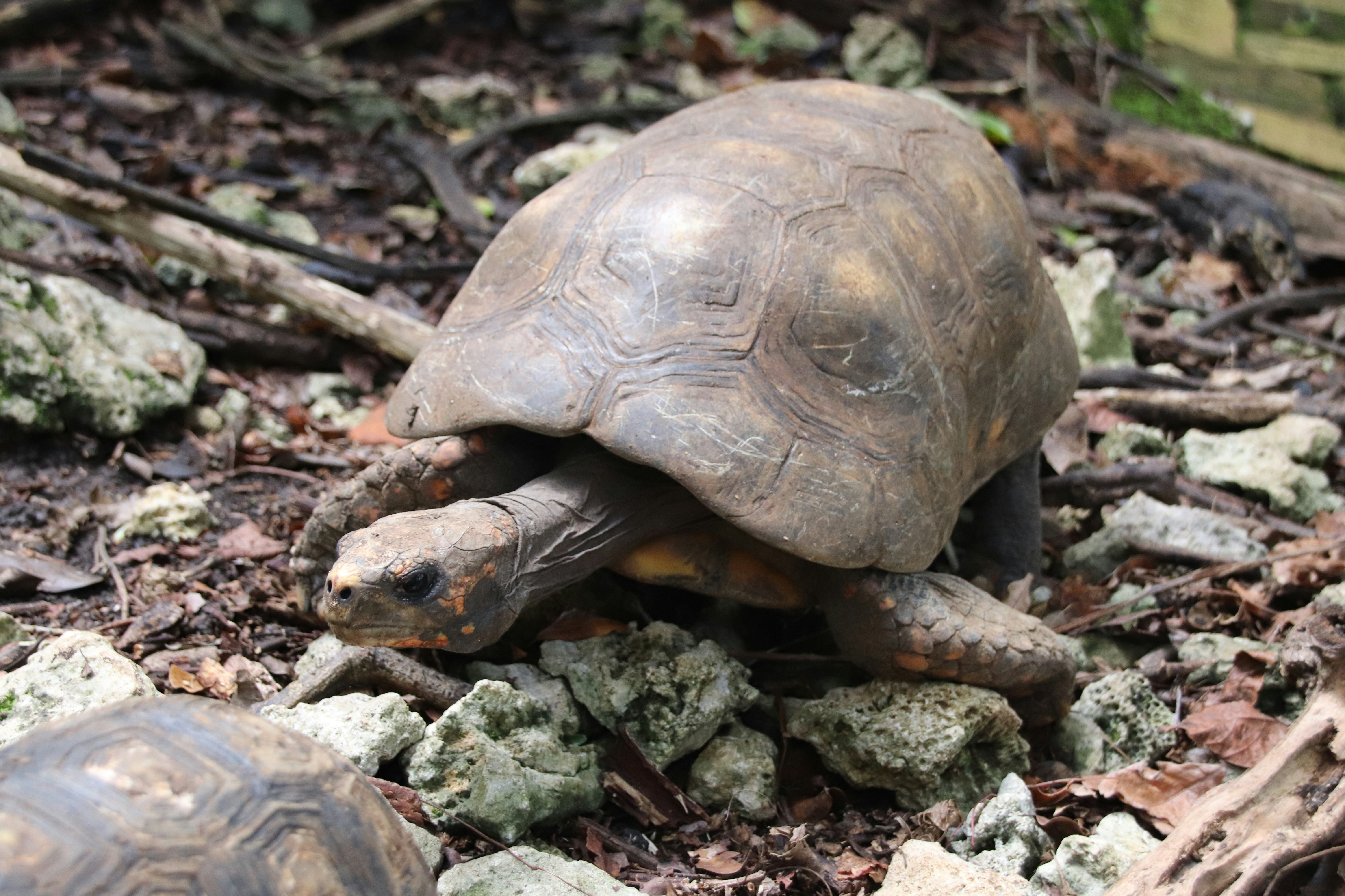 Photo by tanyabarrow