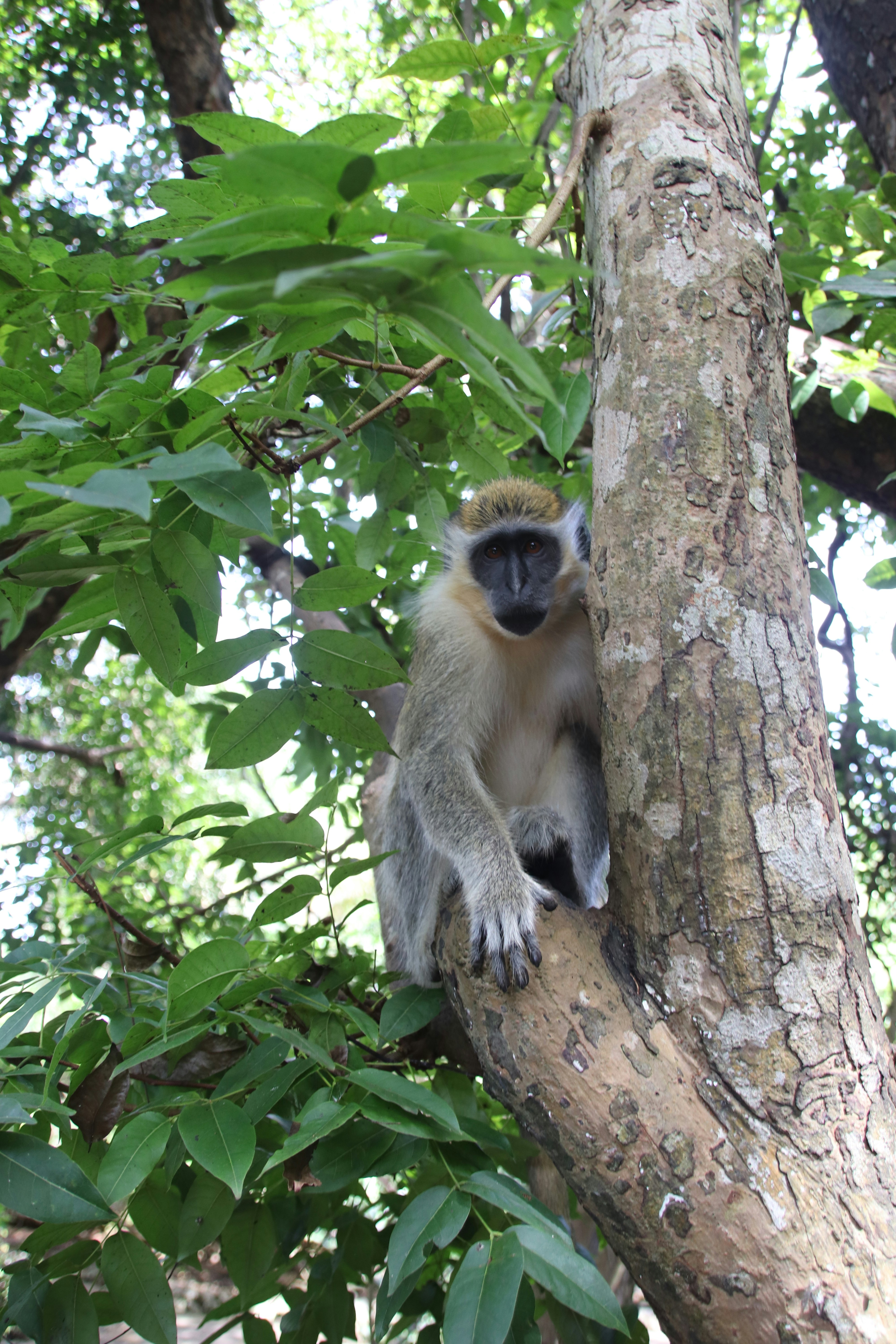 Photo by tanyabarrow