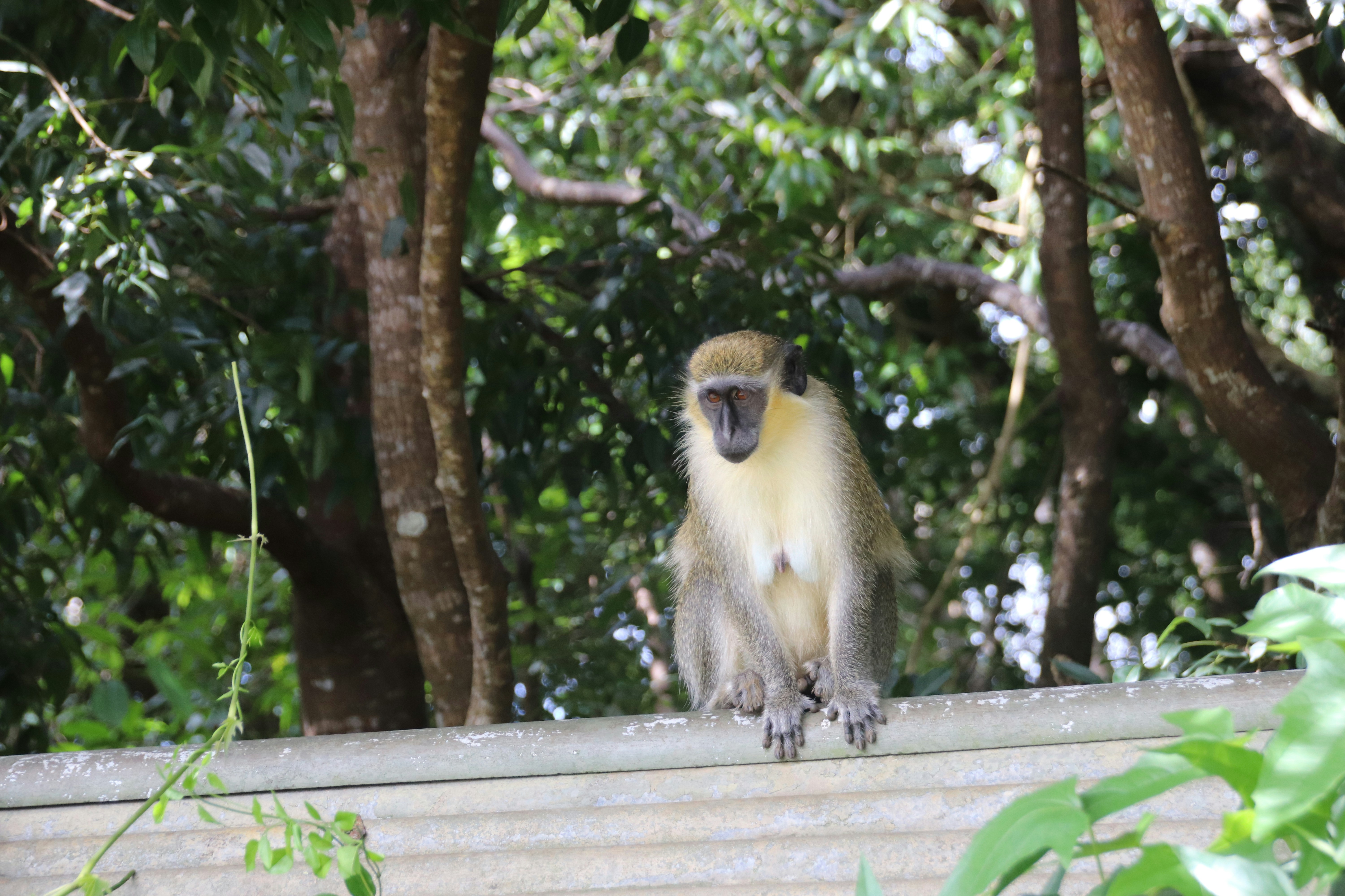 Photo by tanyabarrow