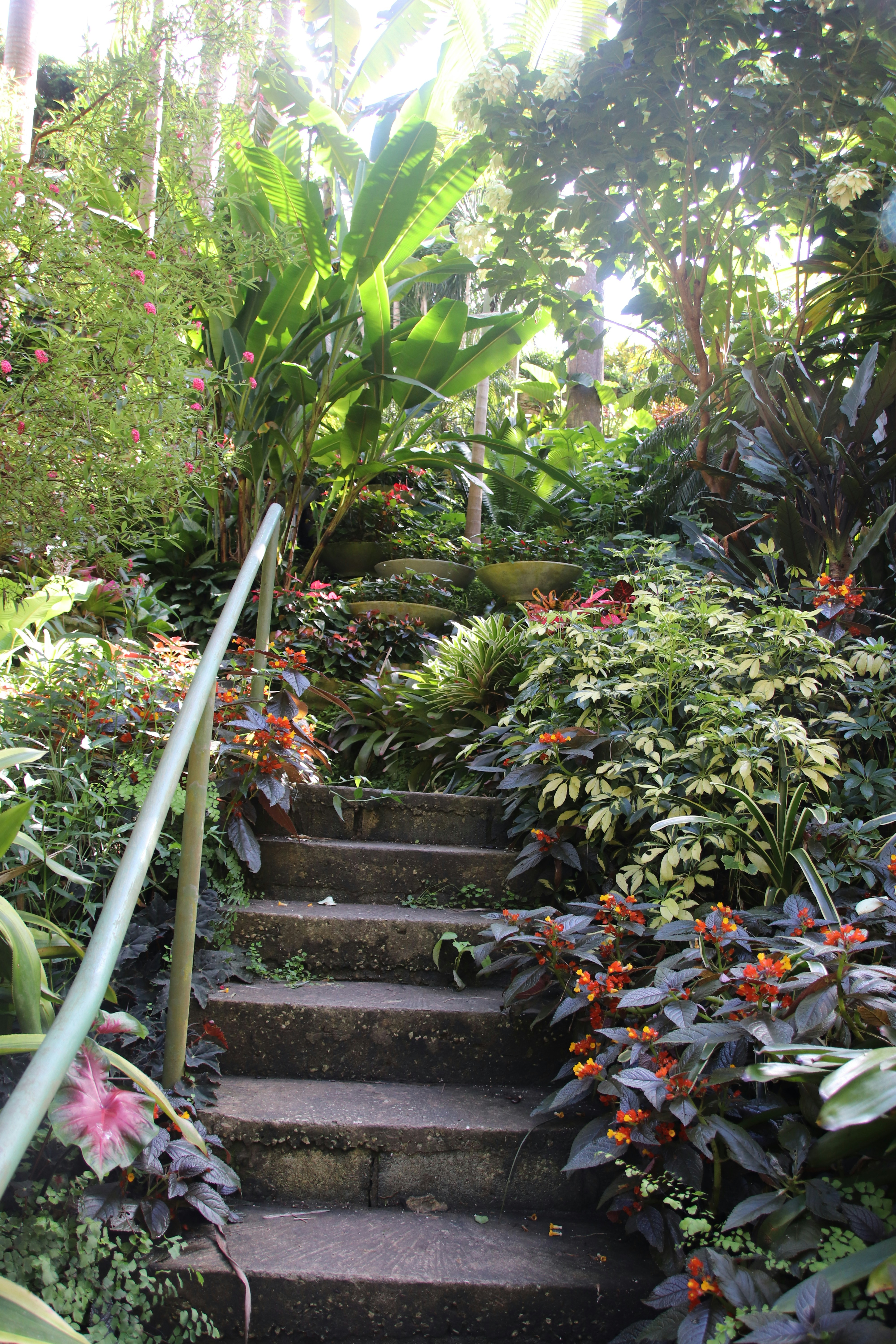 Photo by tanyabarrow