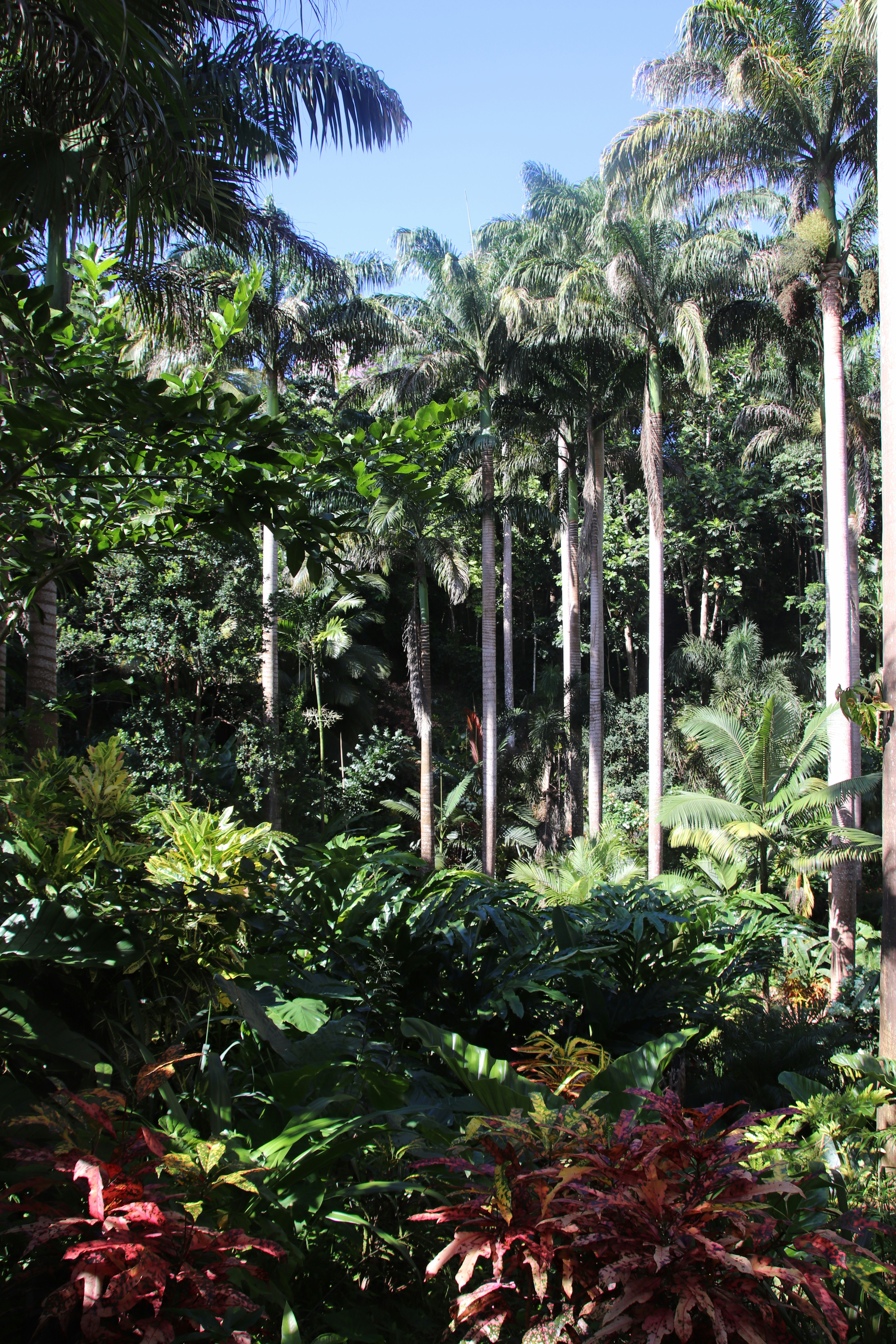 Photo by tanyabarrow