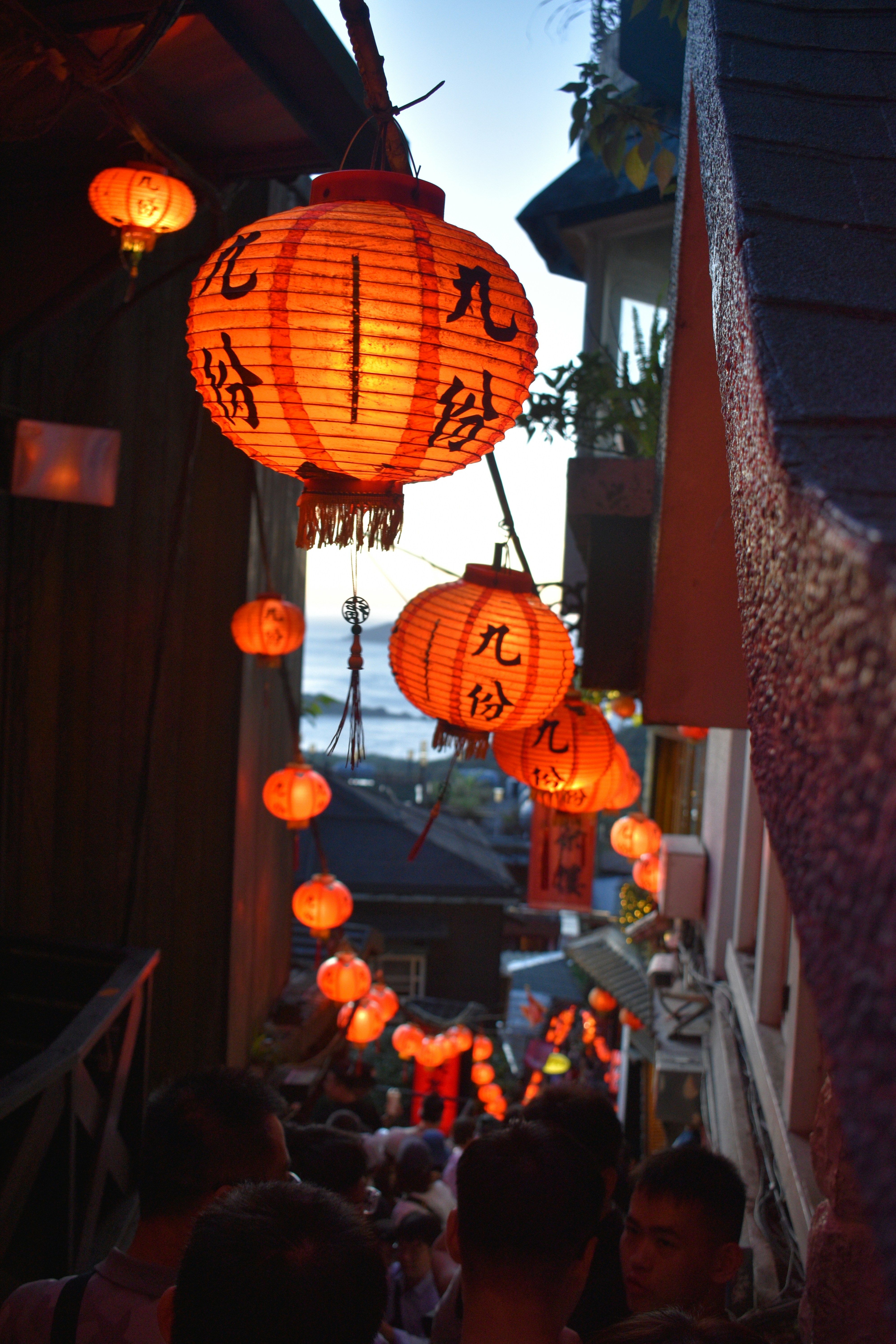 Photo by murphys_photos