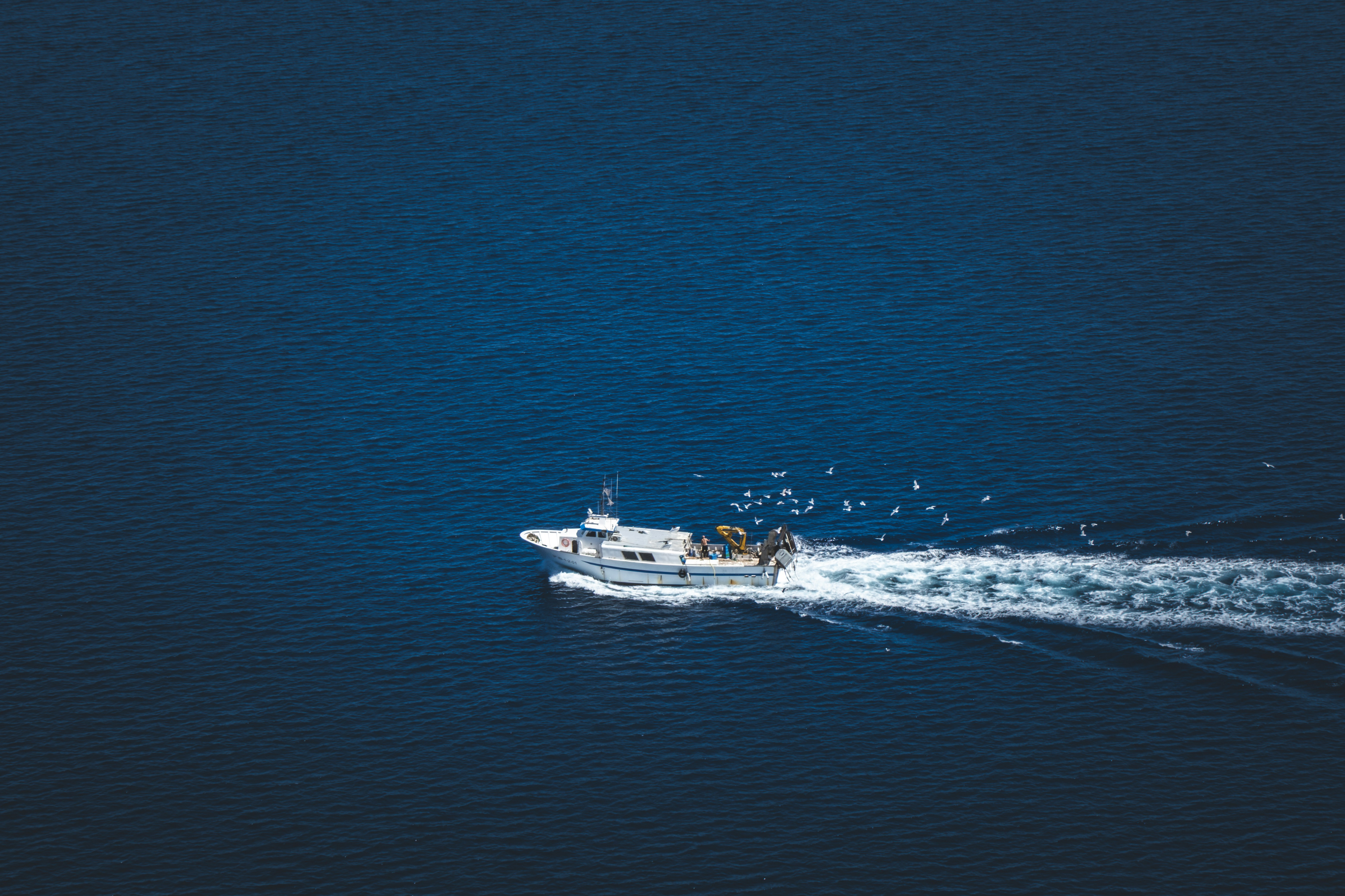 Photo by francesco_ungaro