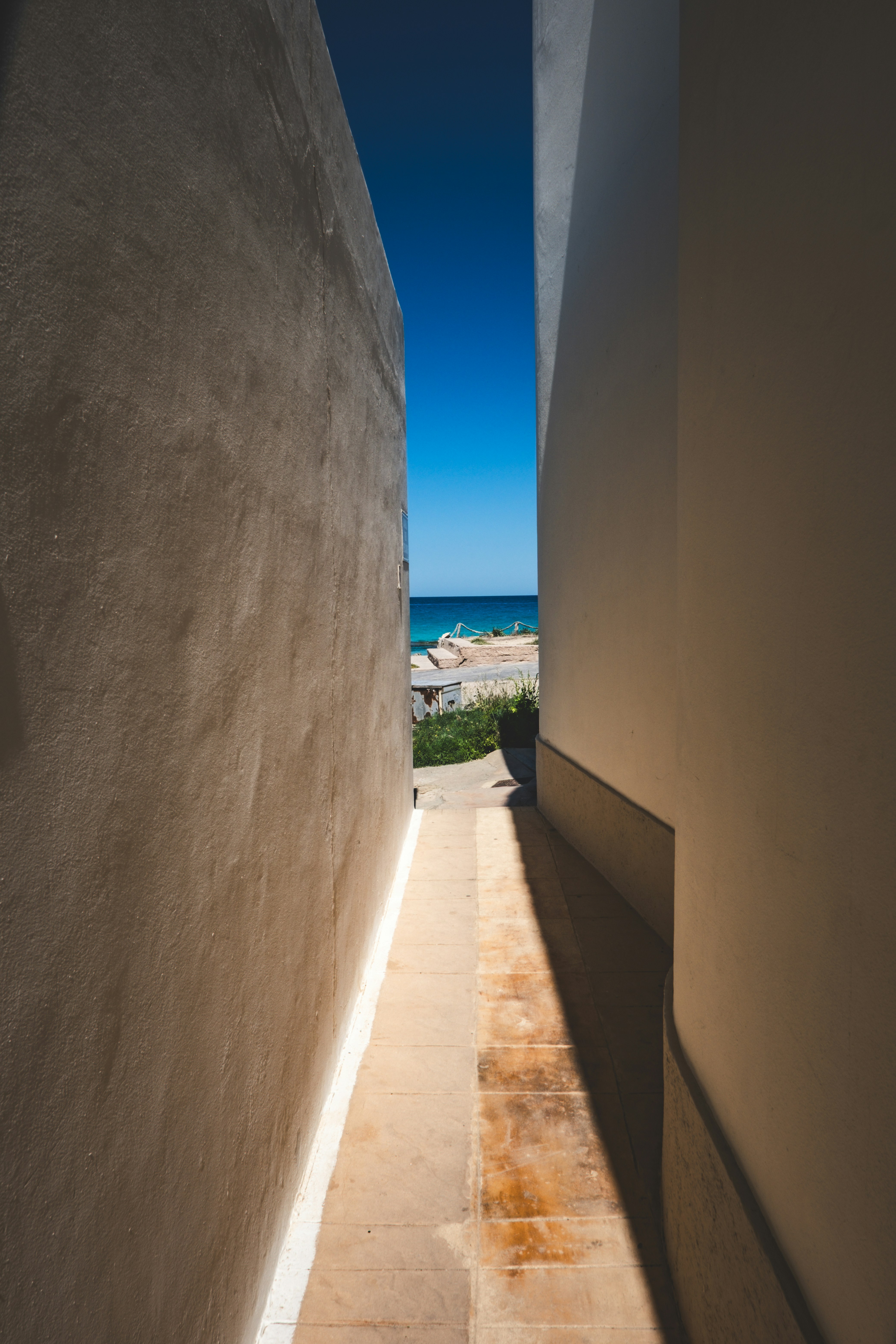 Photo by francesco_ungaro