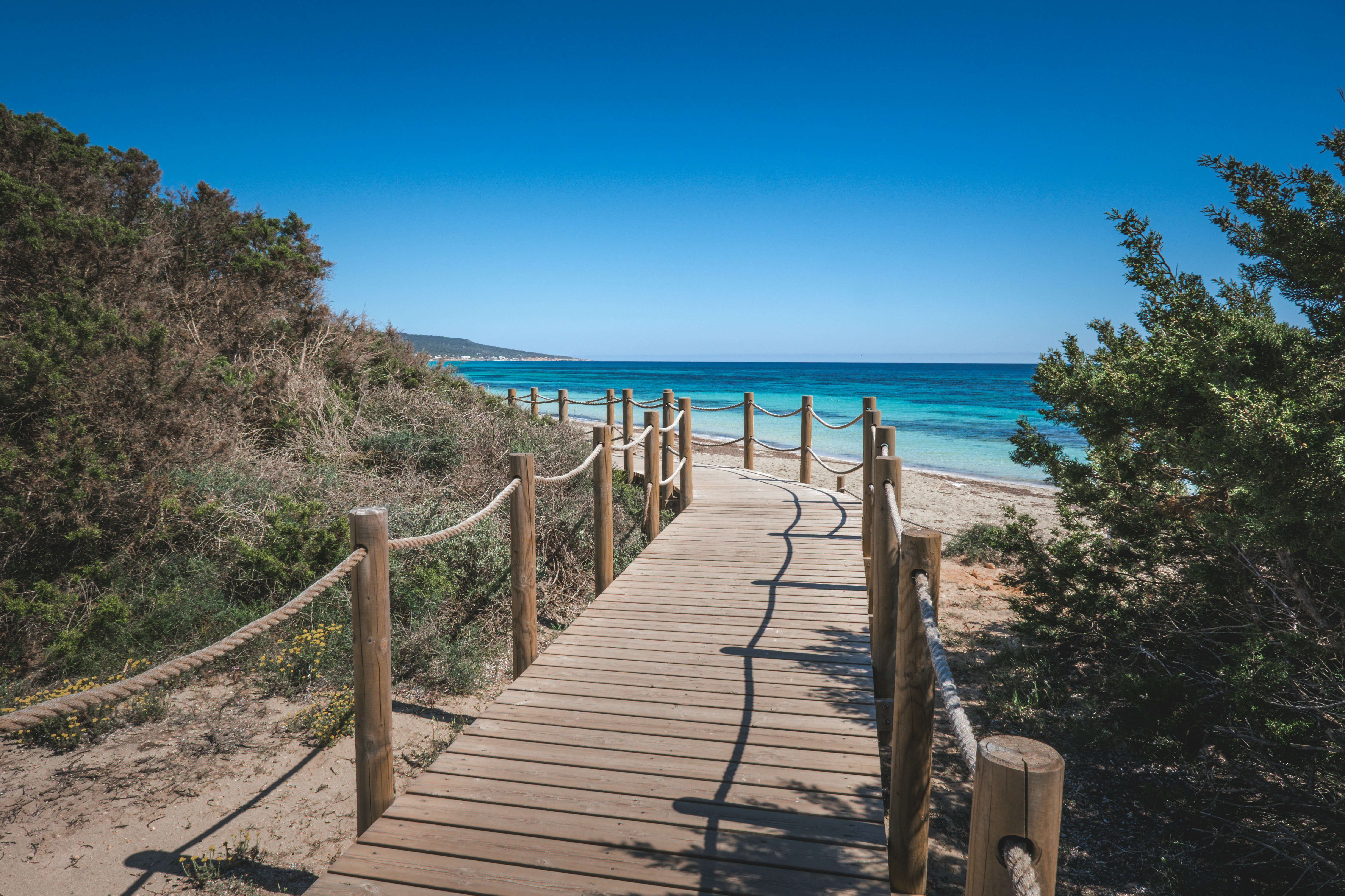 Photo by francesco_ungaro