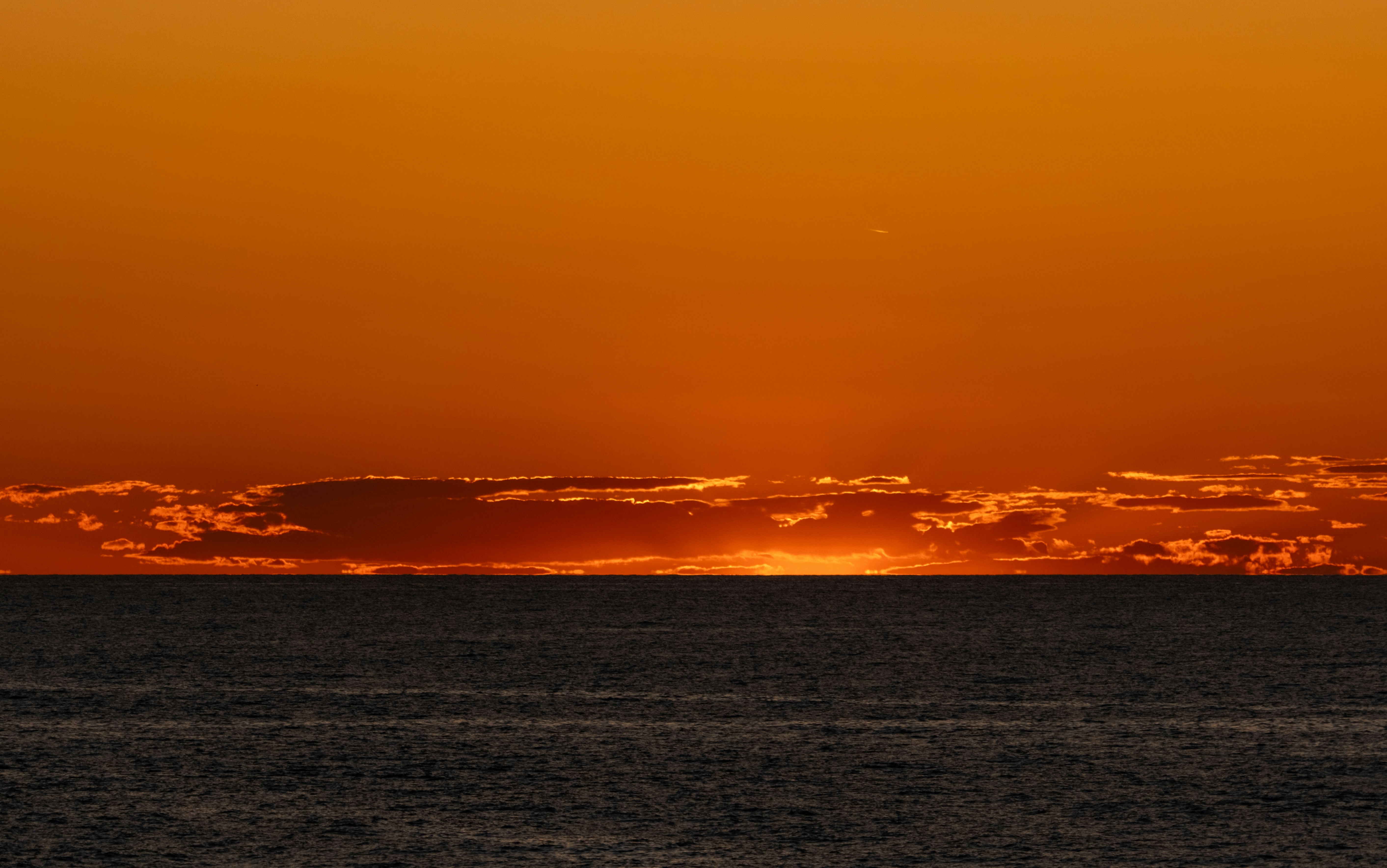 Photo by francesco_ungaro