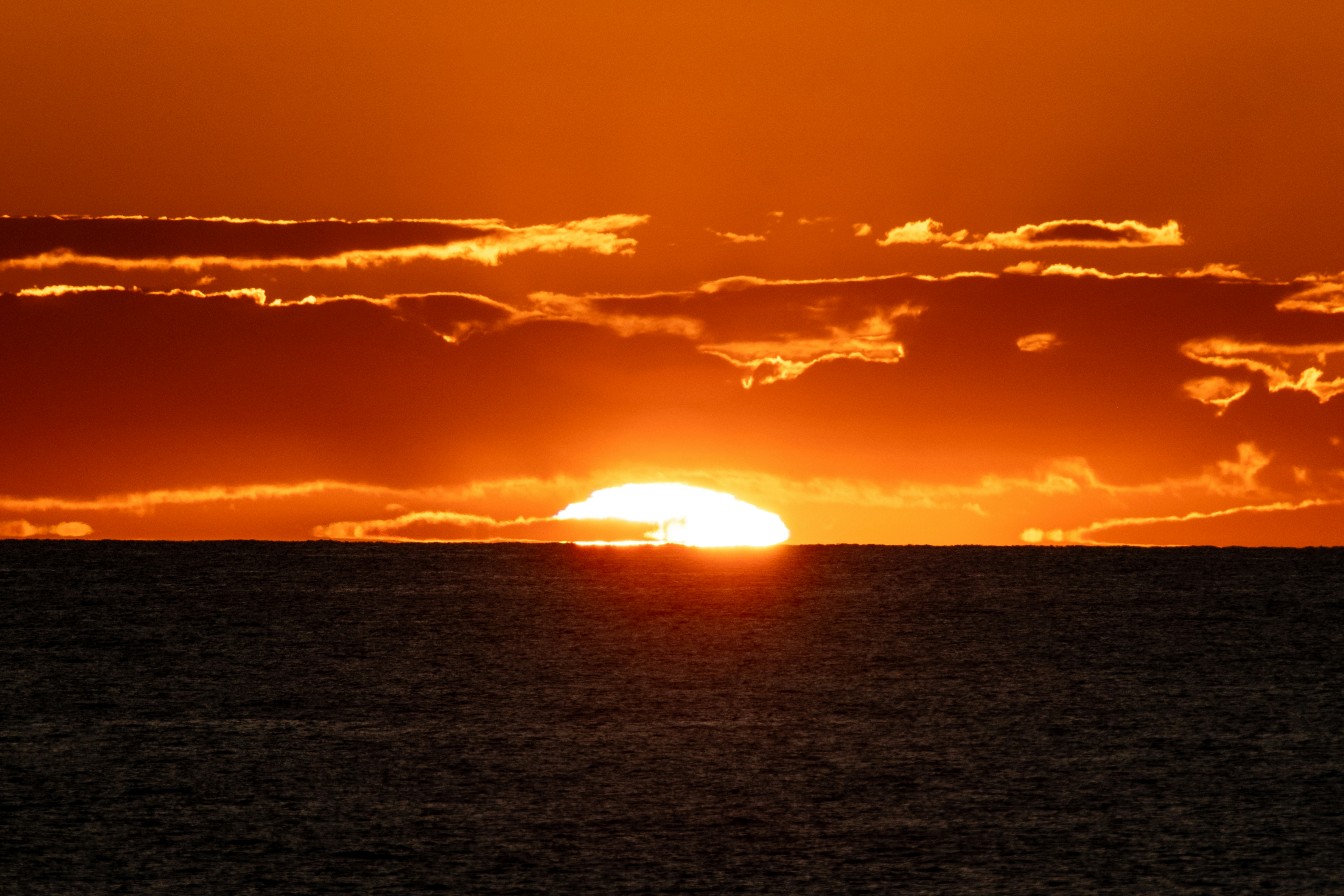 Photo by francesco_ungaro