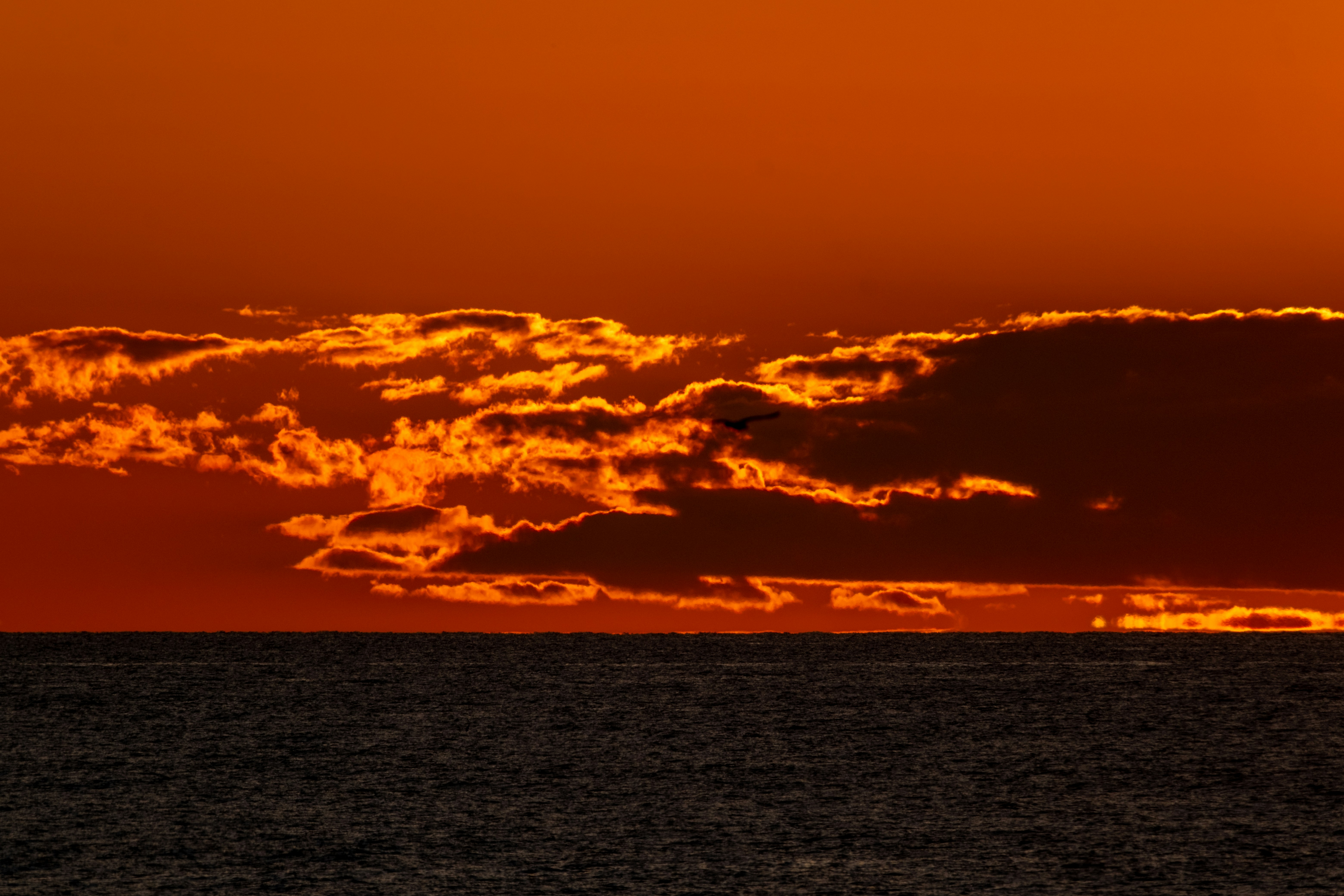 Photo by francesco_ungaro