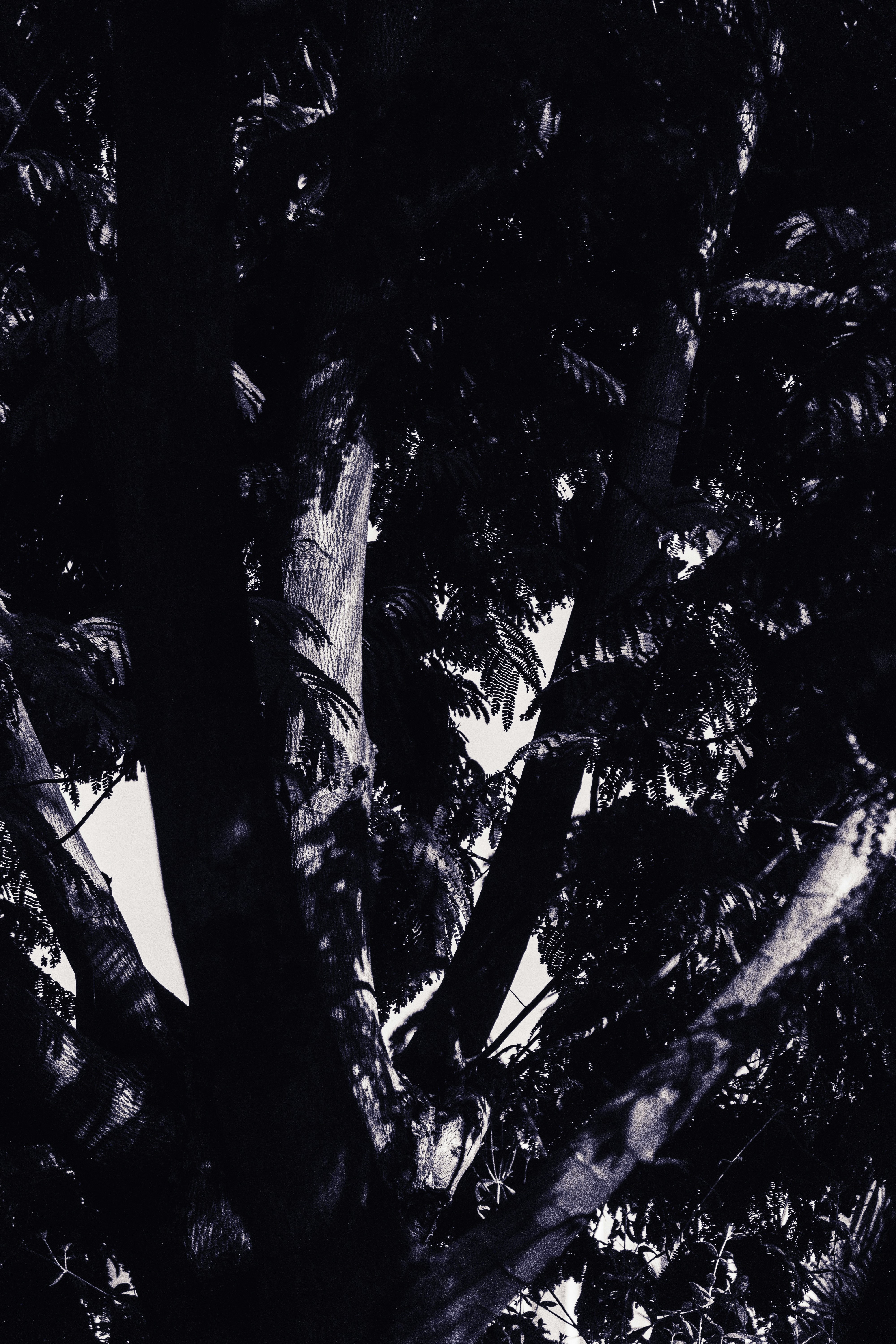 Photo by pranav1124