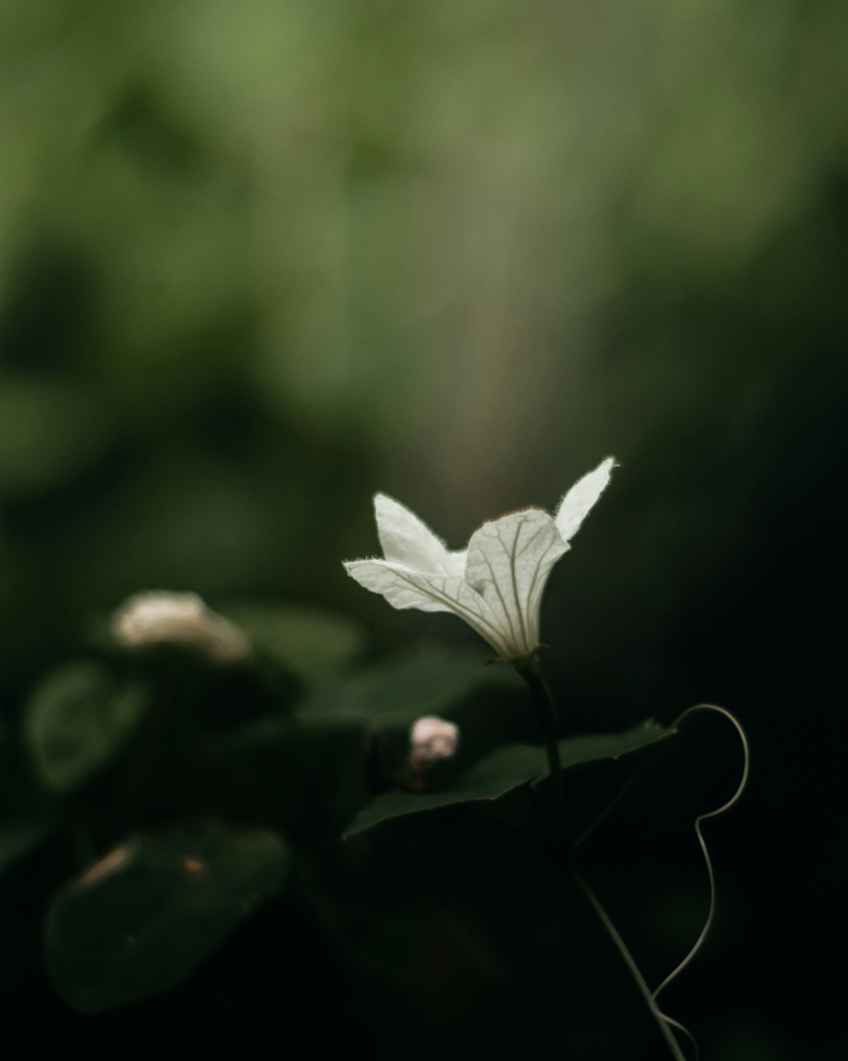 Photo by pixelbyzaki