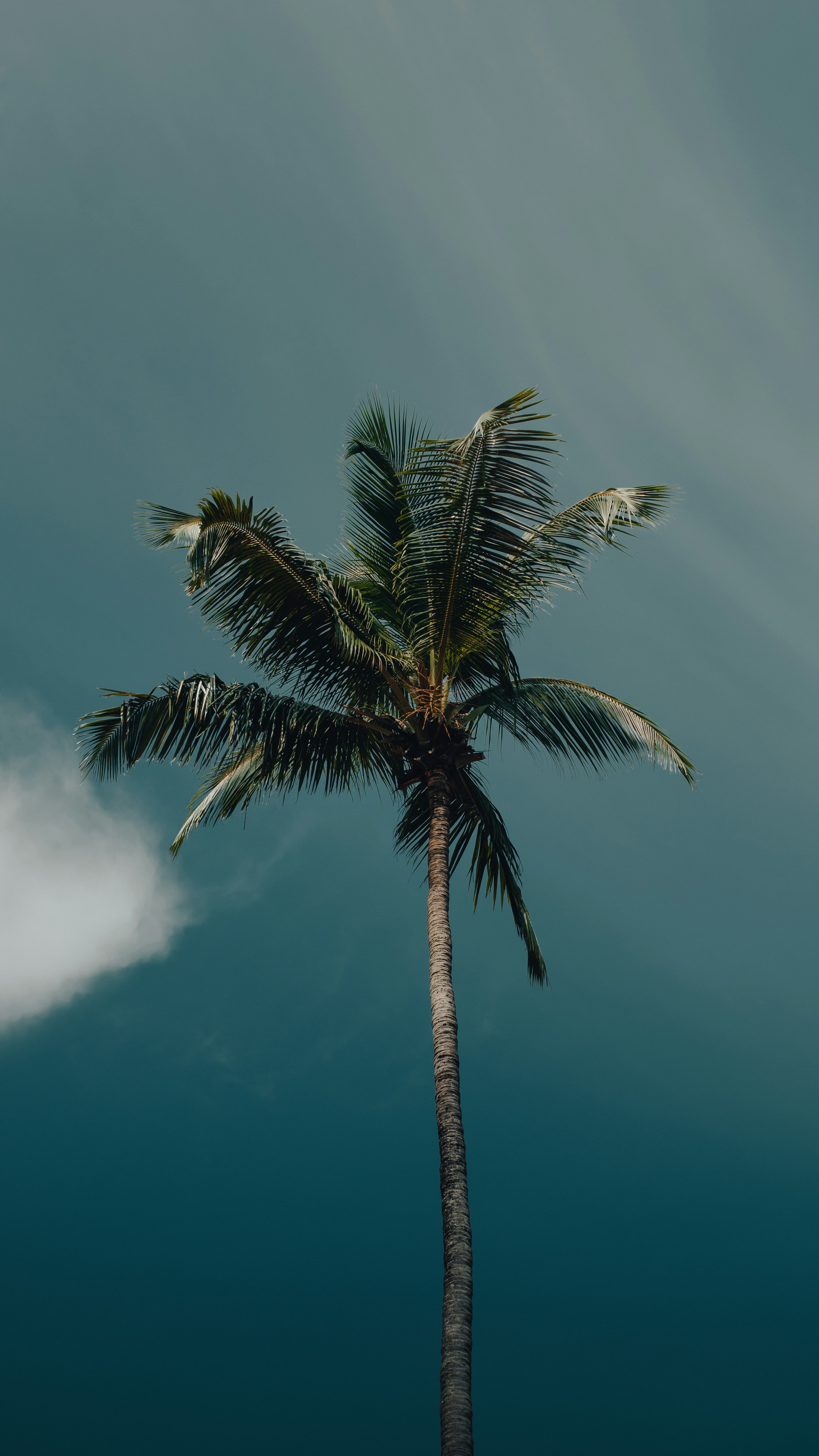 Photo by pixelbyzaki