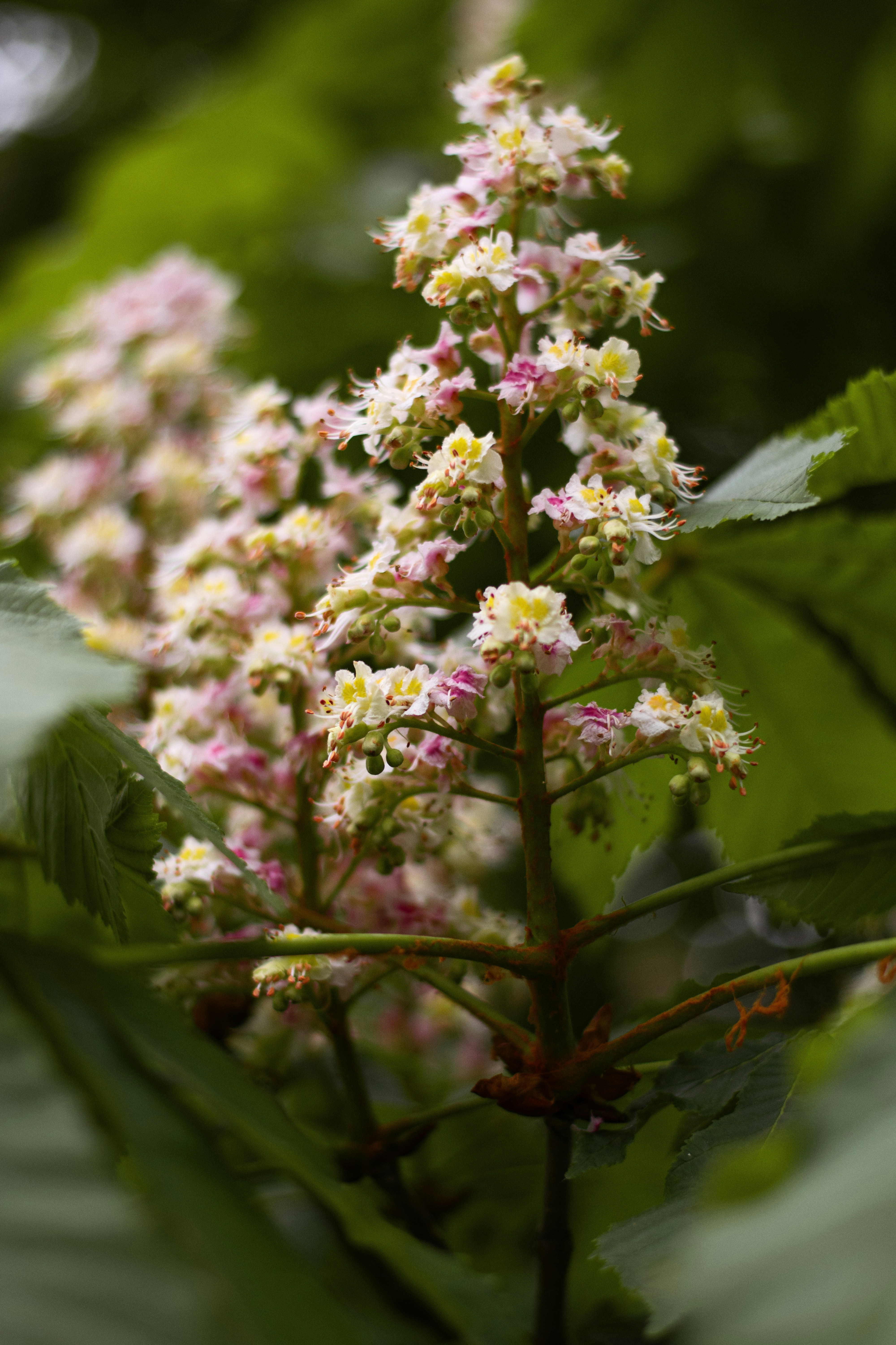 Photo by karynaviktori