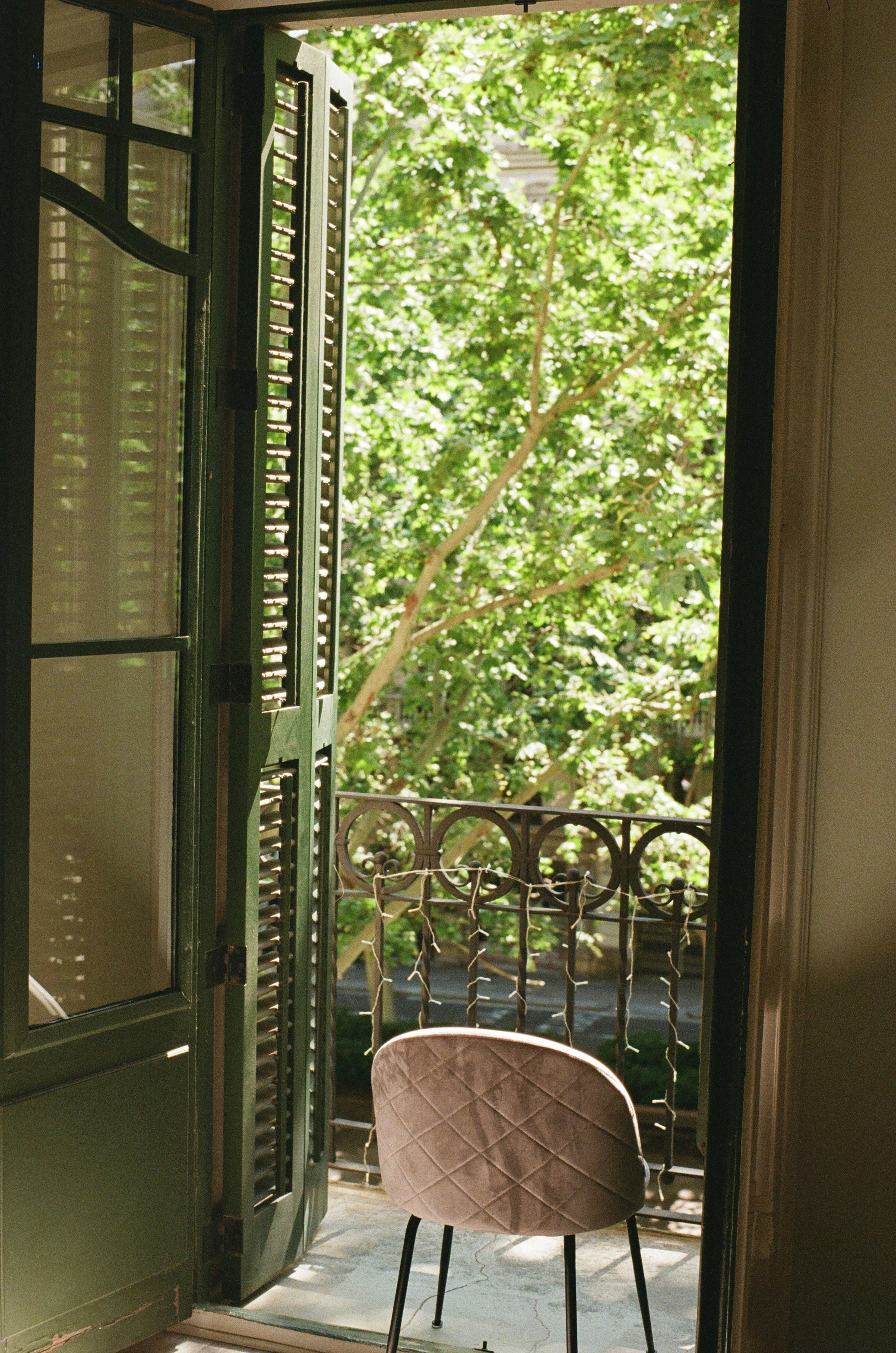 Photo by littlecarnaval