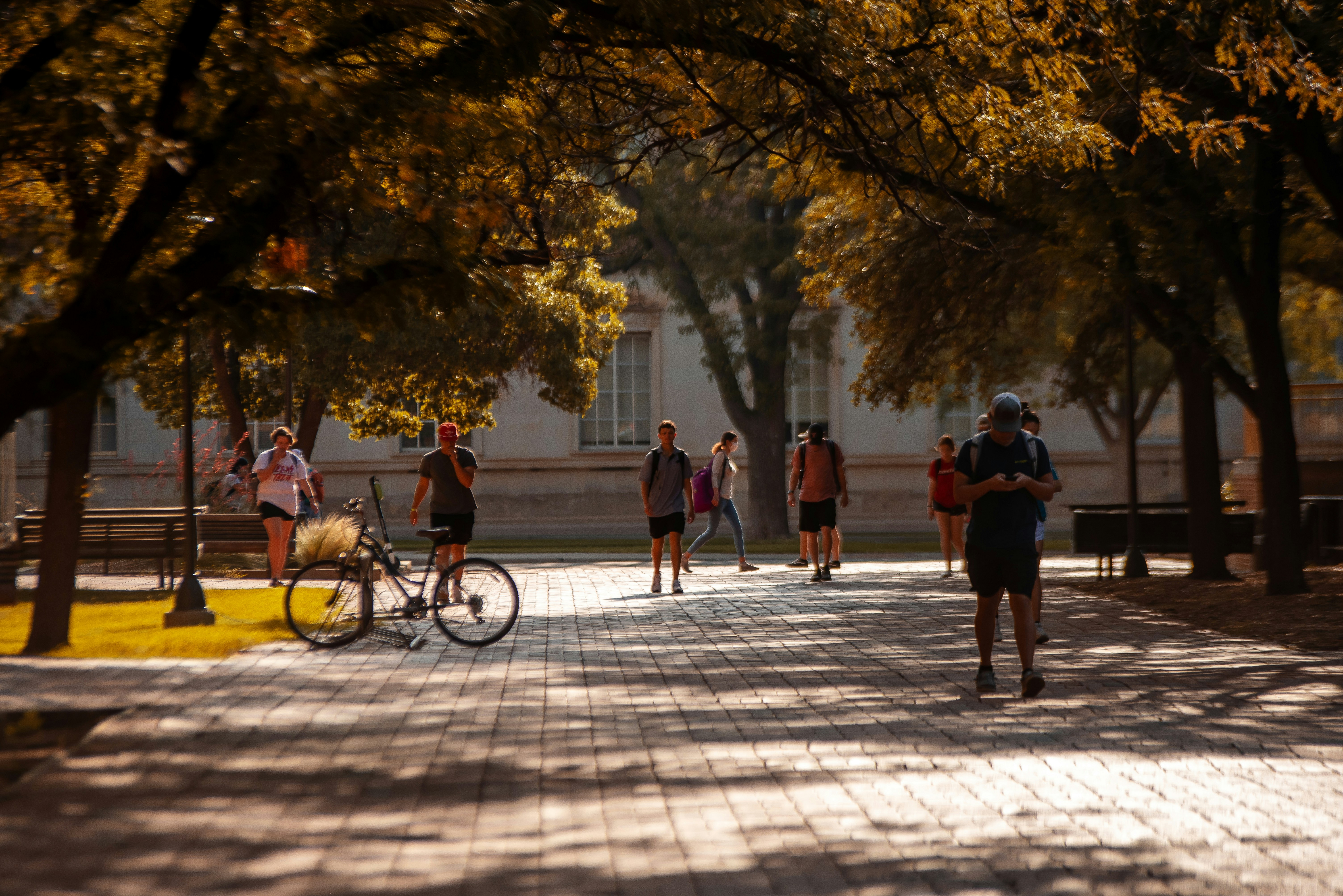 People walk and bike in a tree-lined park.