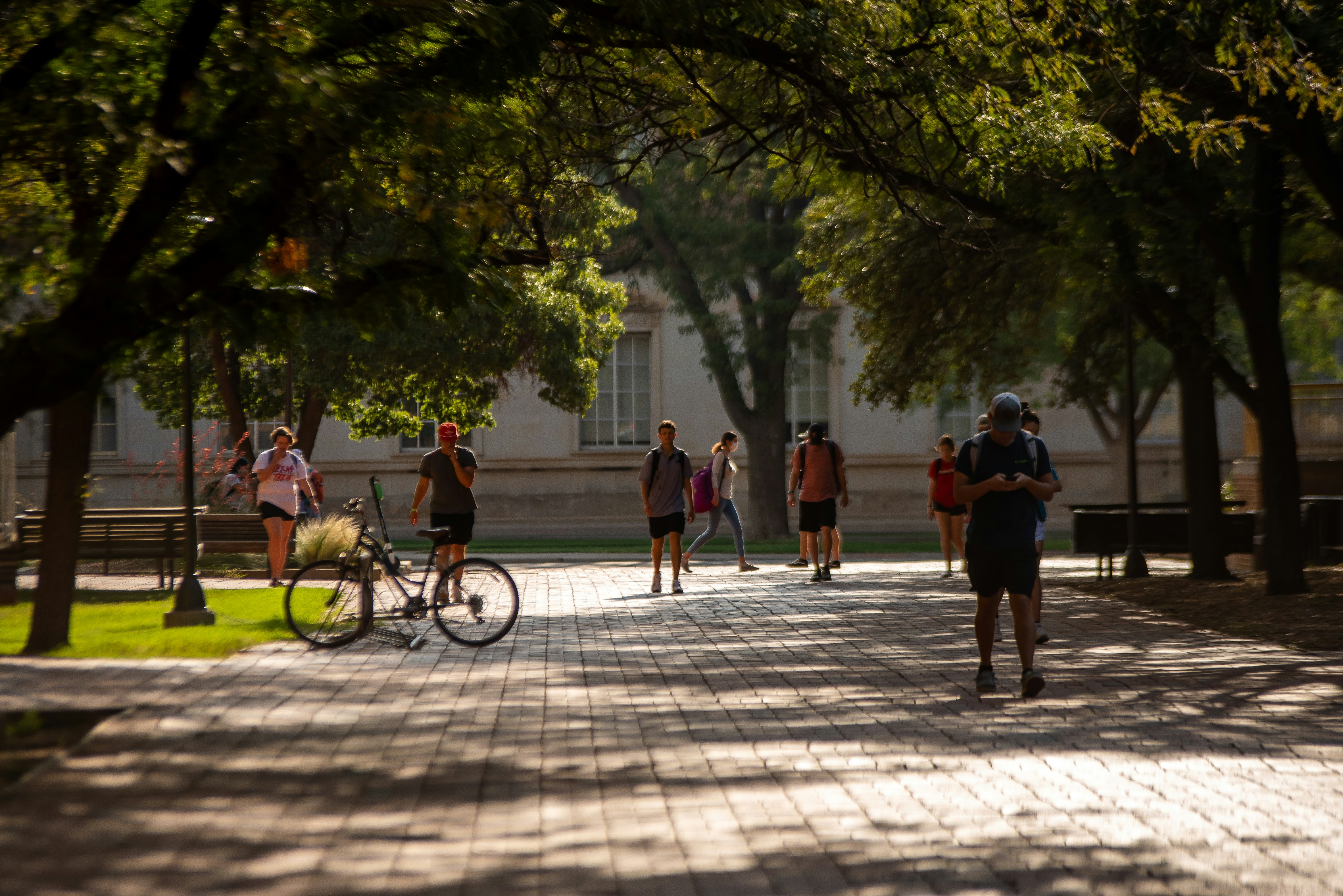 People are walking and exercising in a park.
