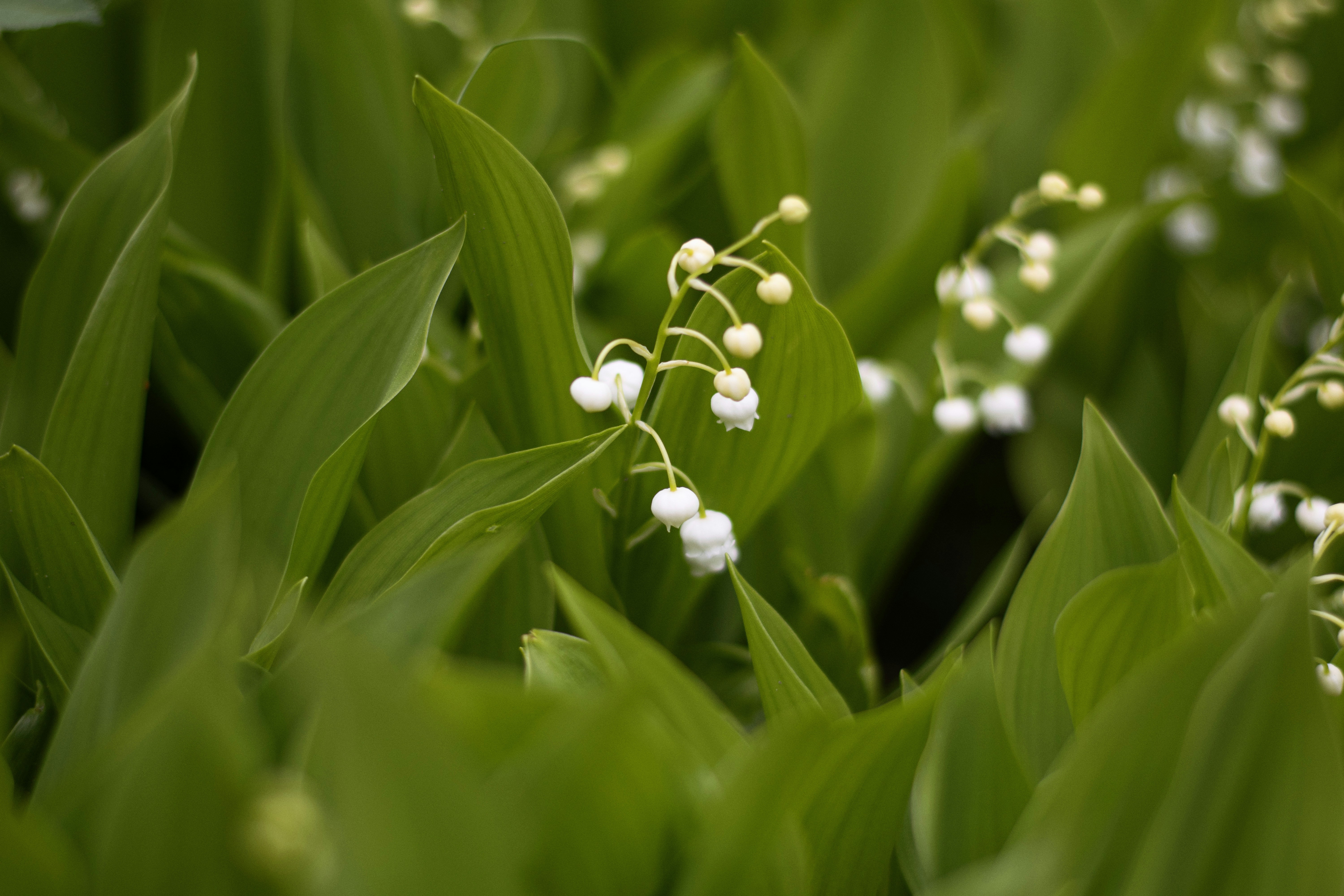 Photo by karynaviktori