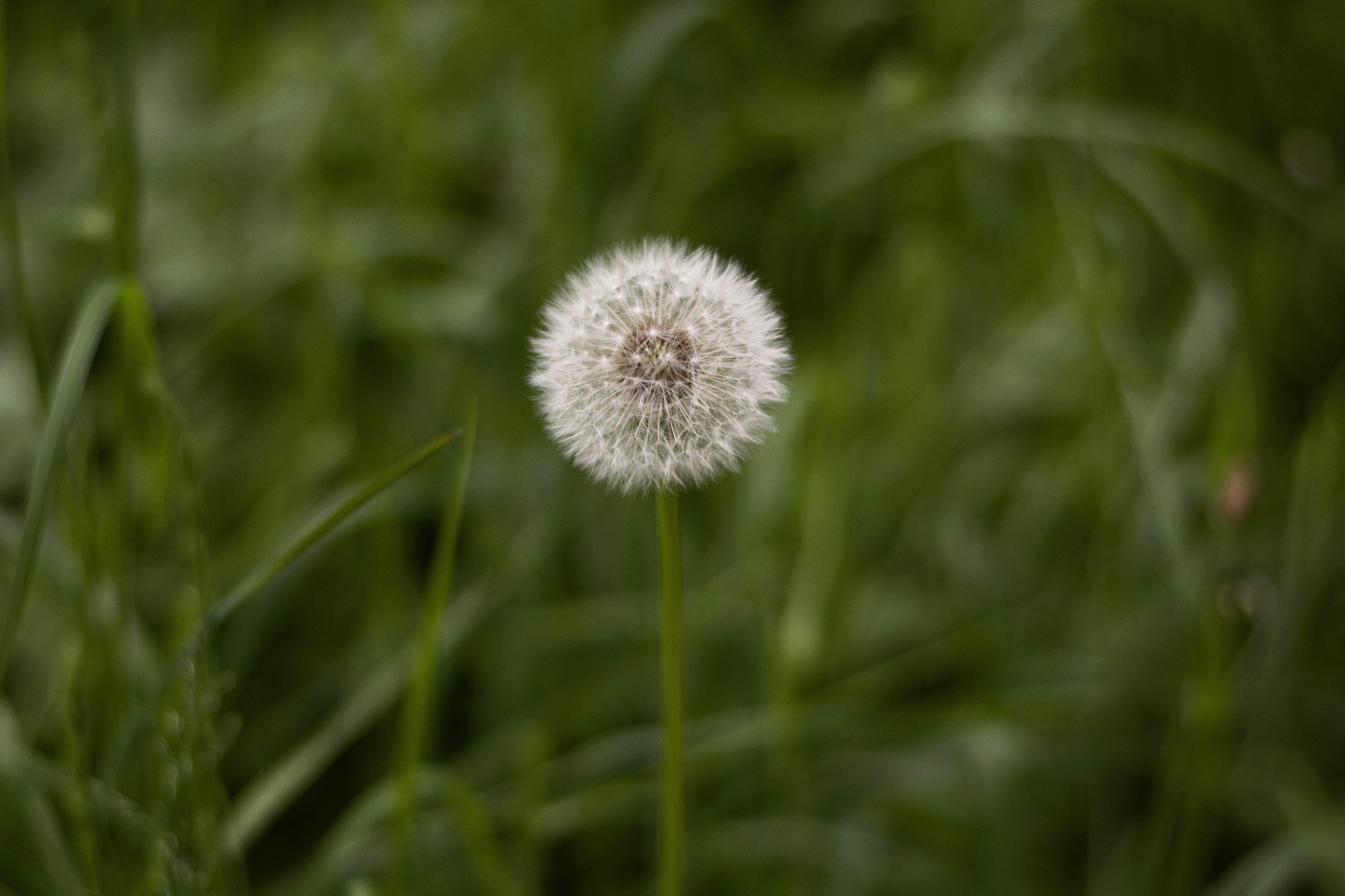 Photo by karynaviktori