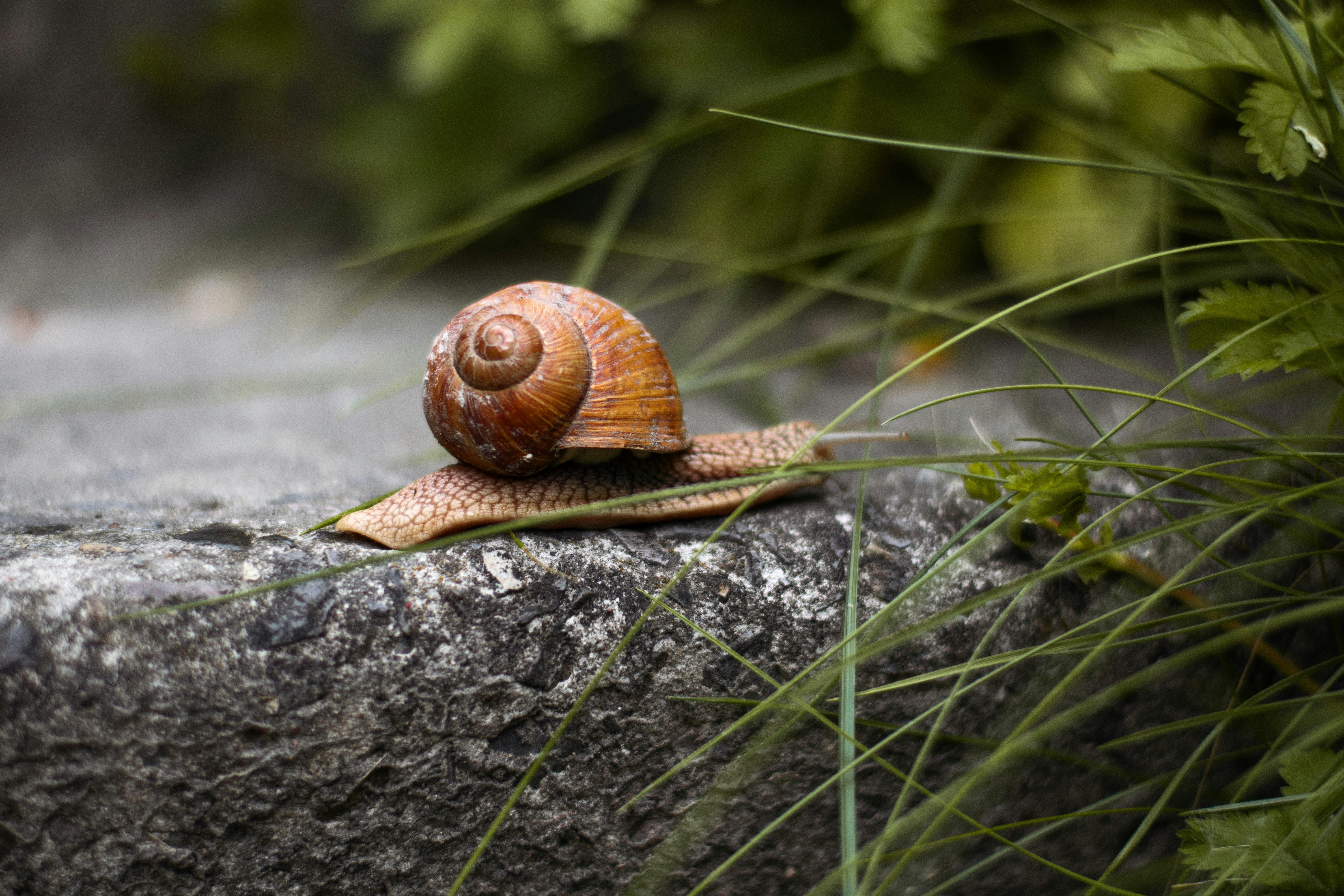 Photo by karynaviktori