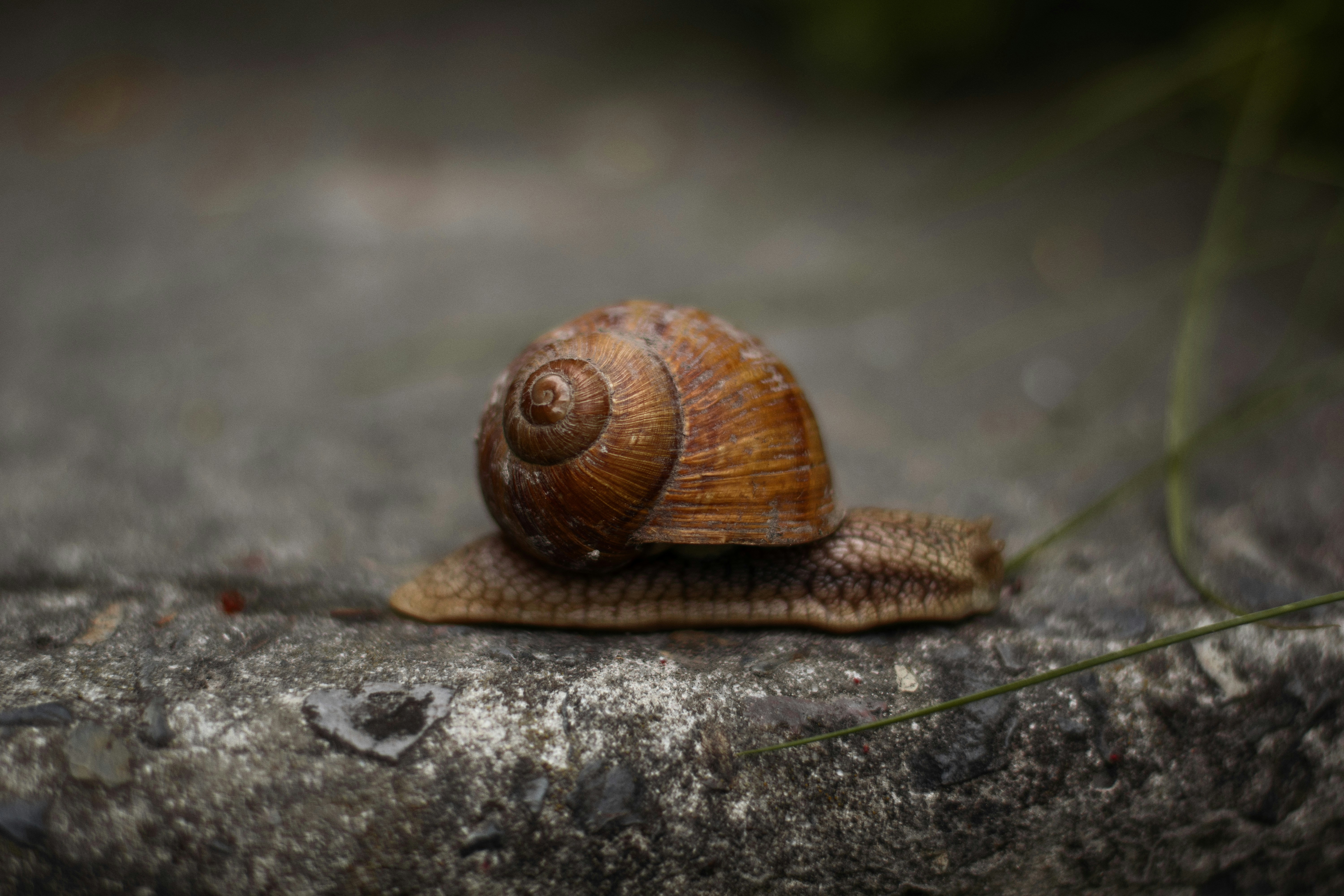 Photo by karynaviktori