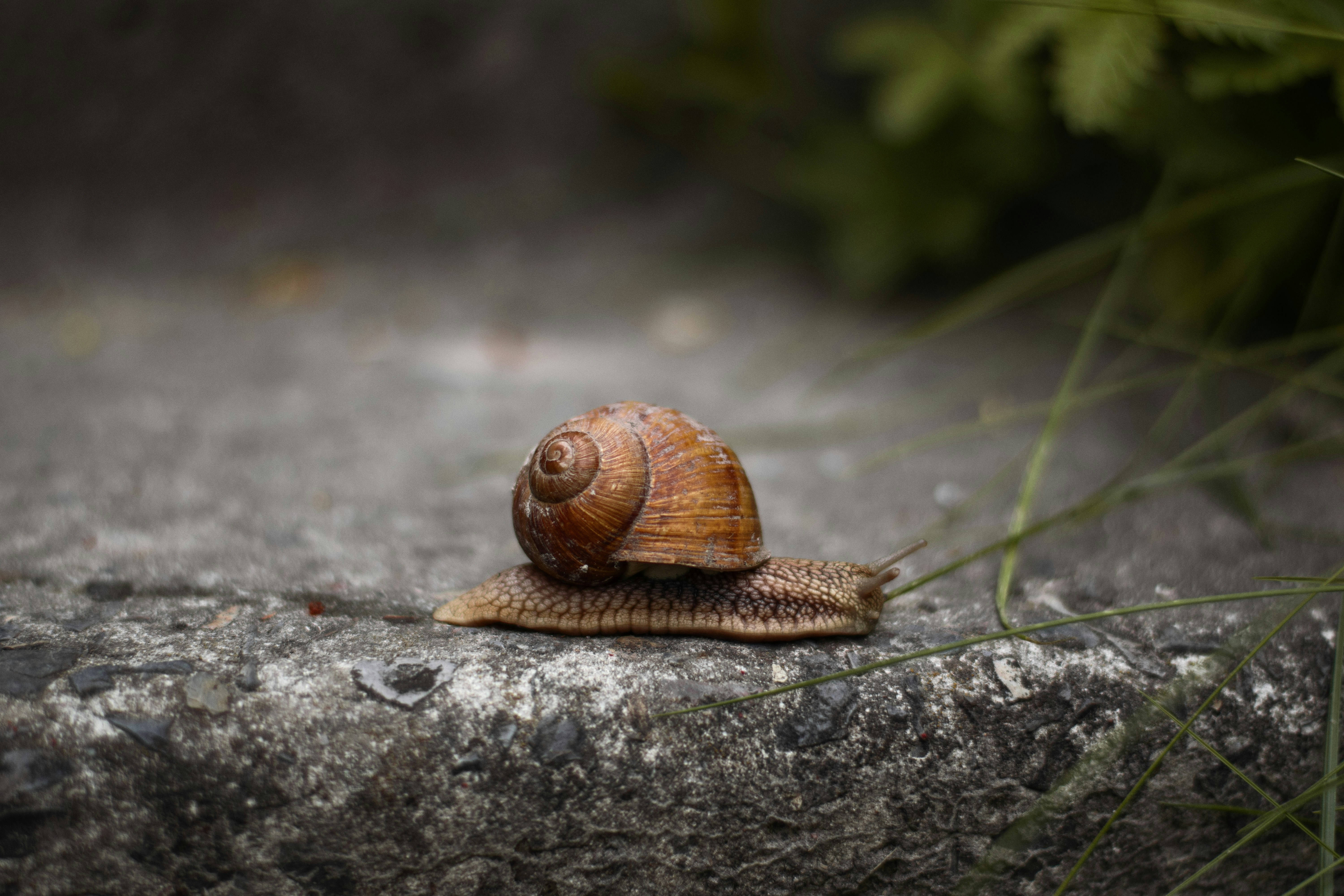 Photo by karynaviktori