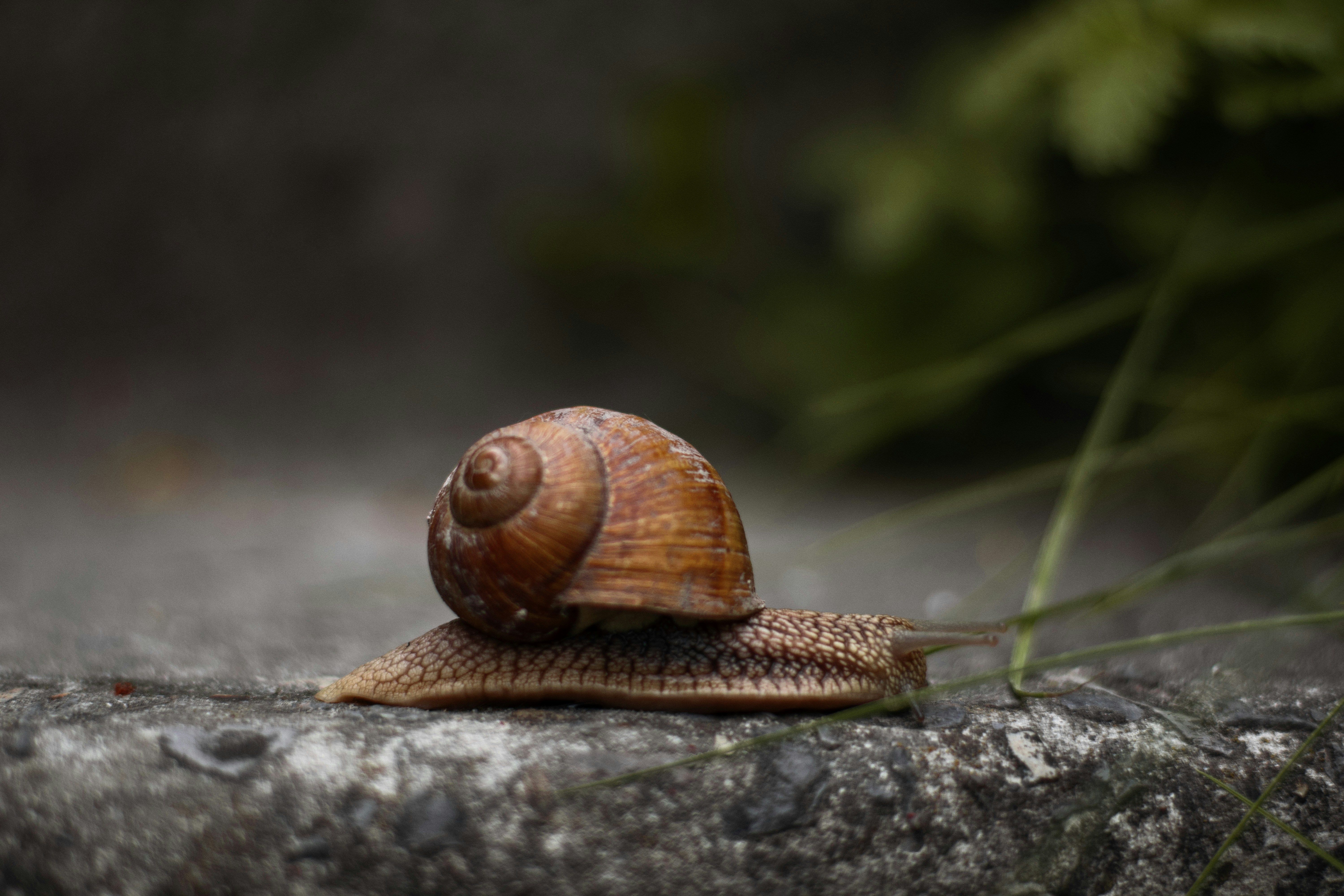 Photo by karynaviktori