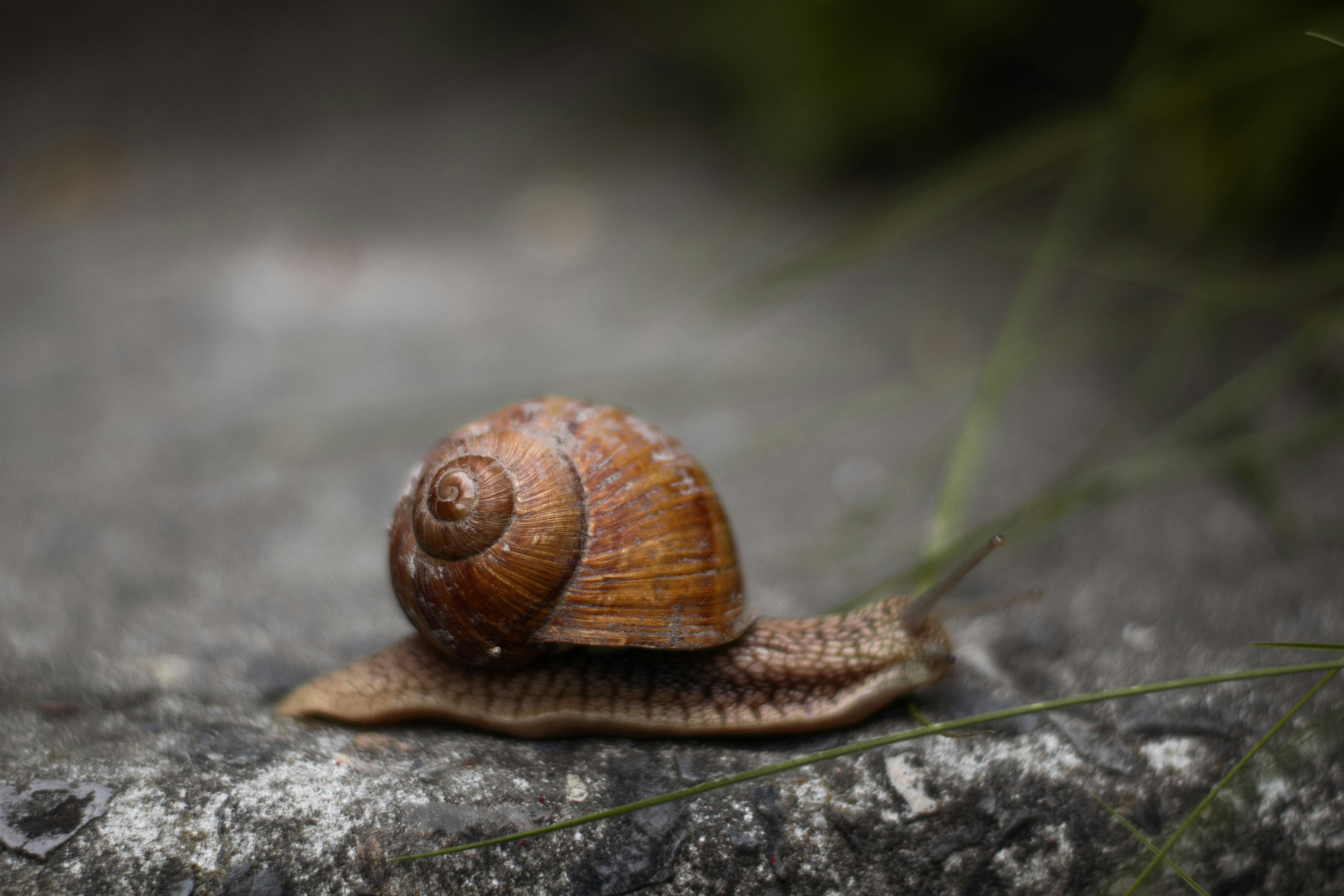 Photo by karynaviktori