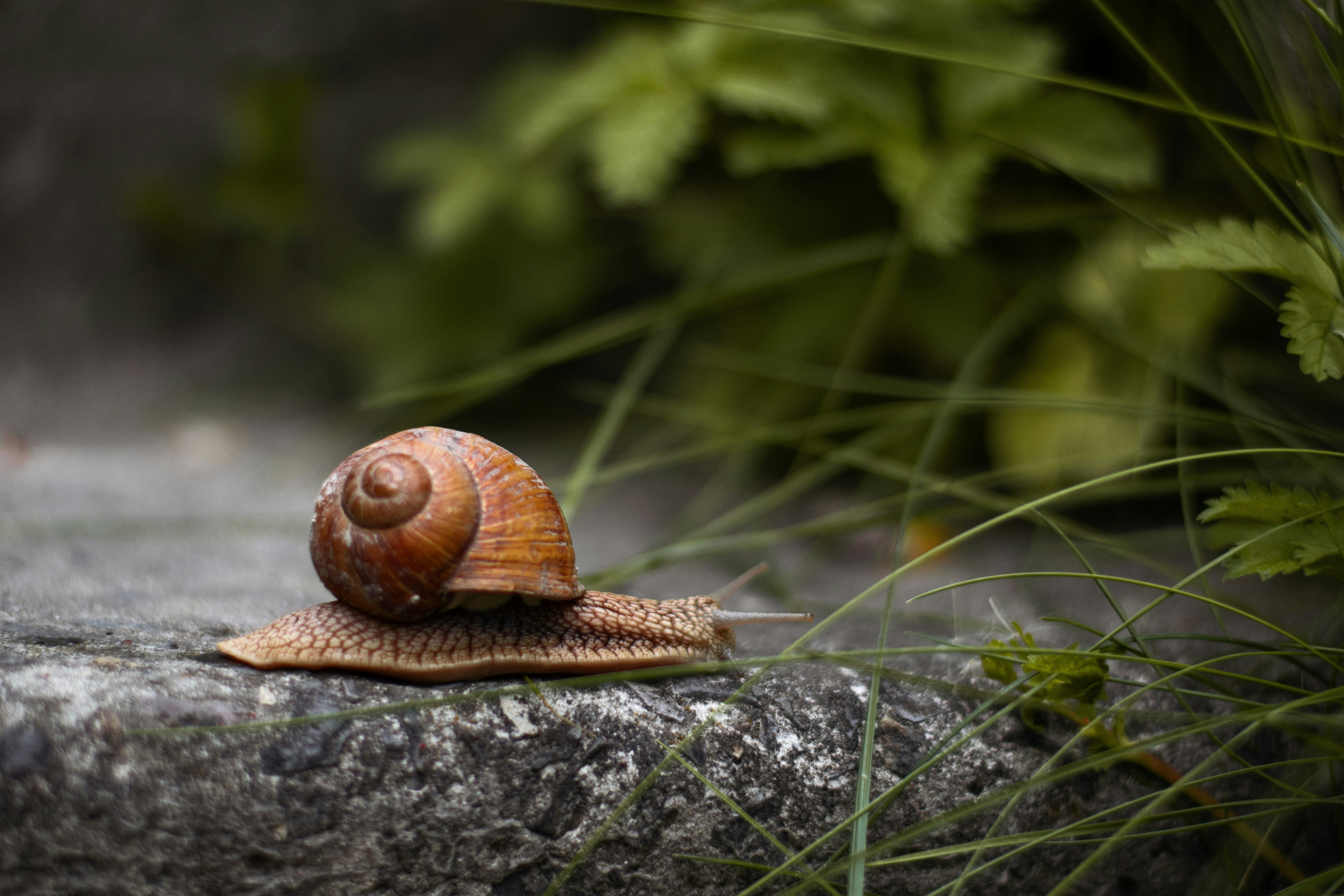 Photo by karynaviktori