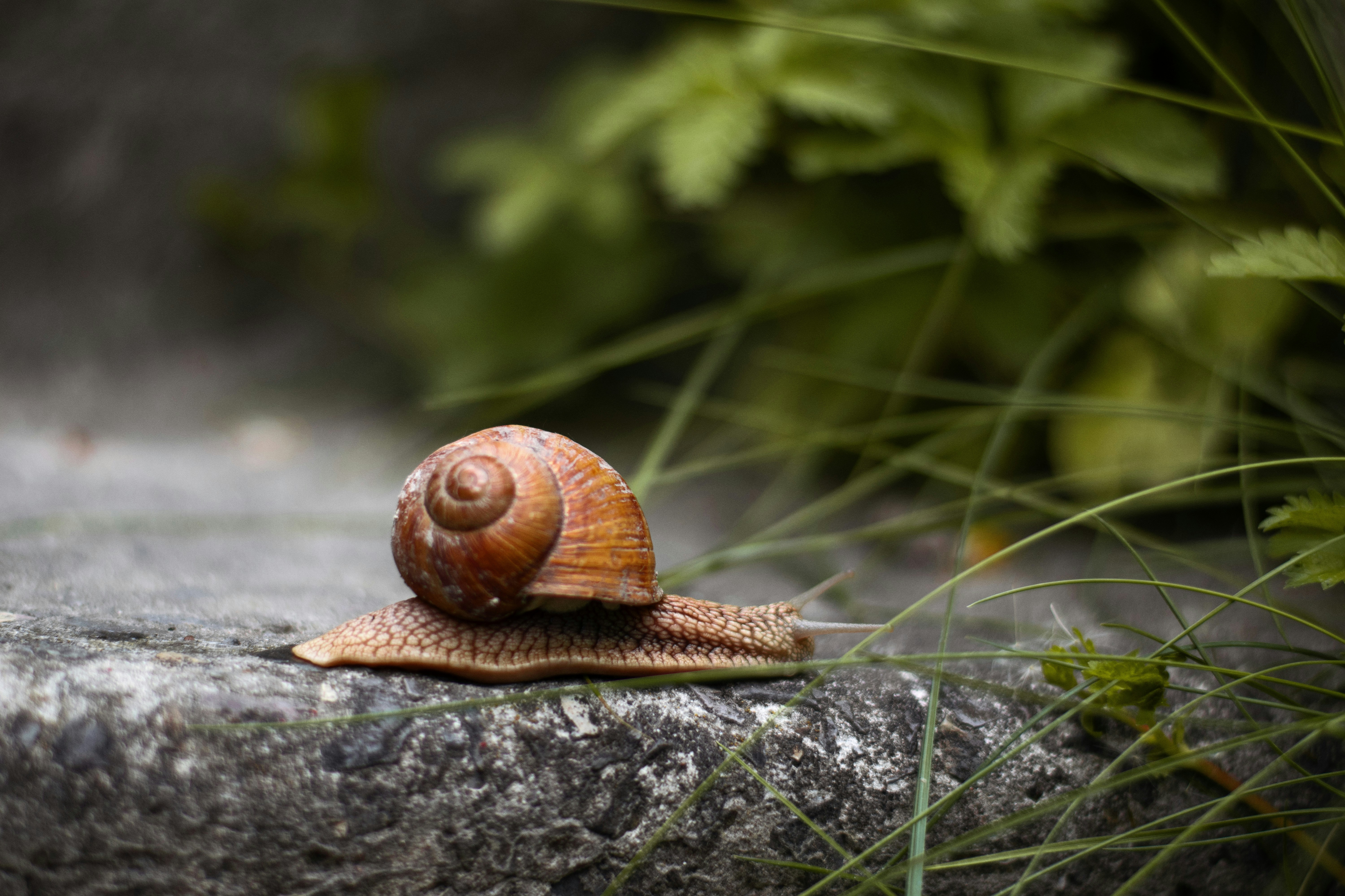 Photo by karynaviktori