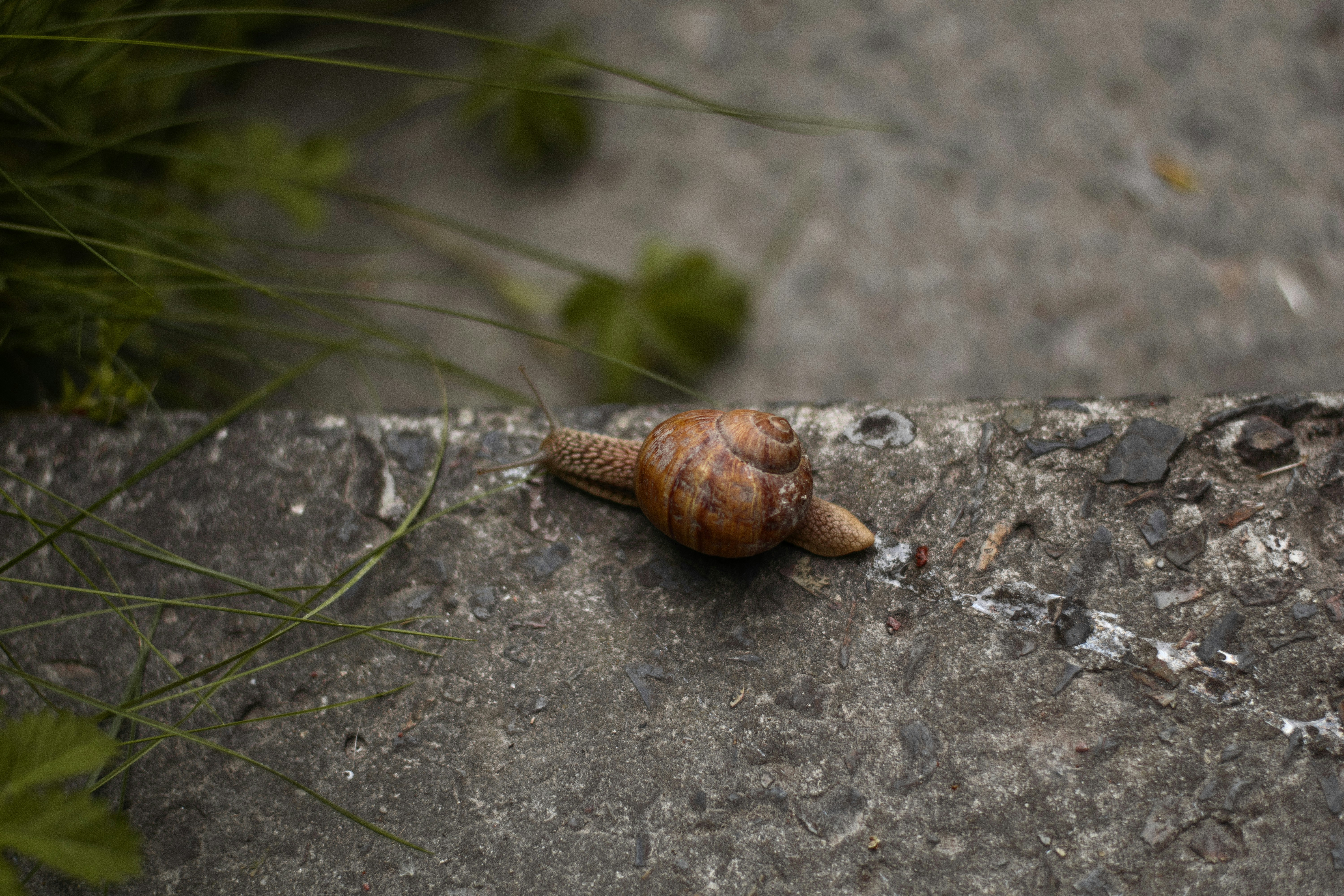 Photo by karynaviktori