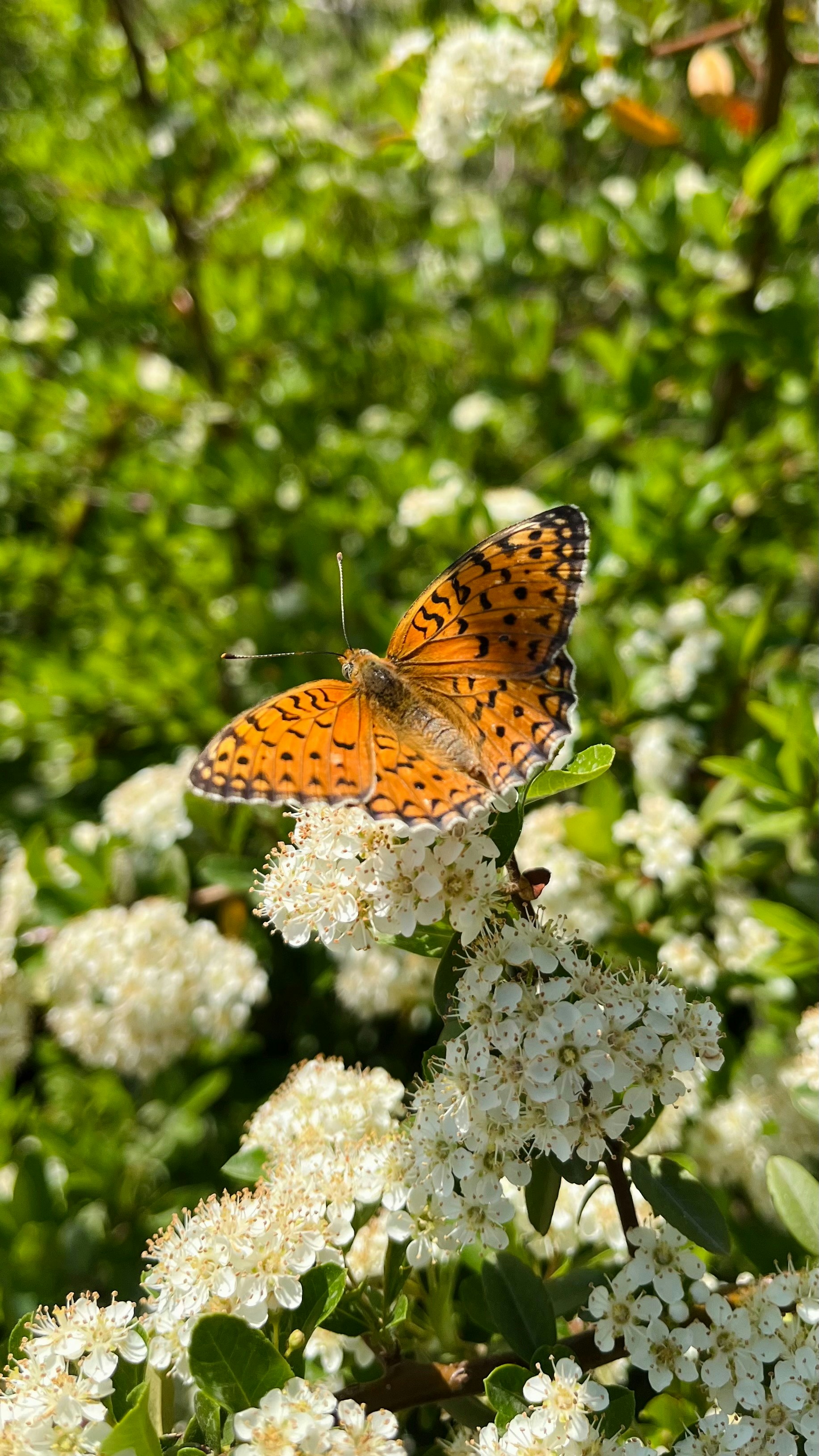 Photo by kimia_pakrah