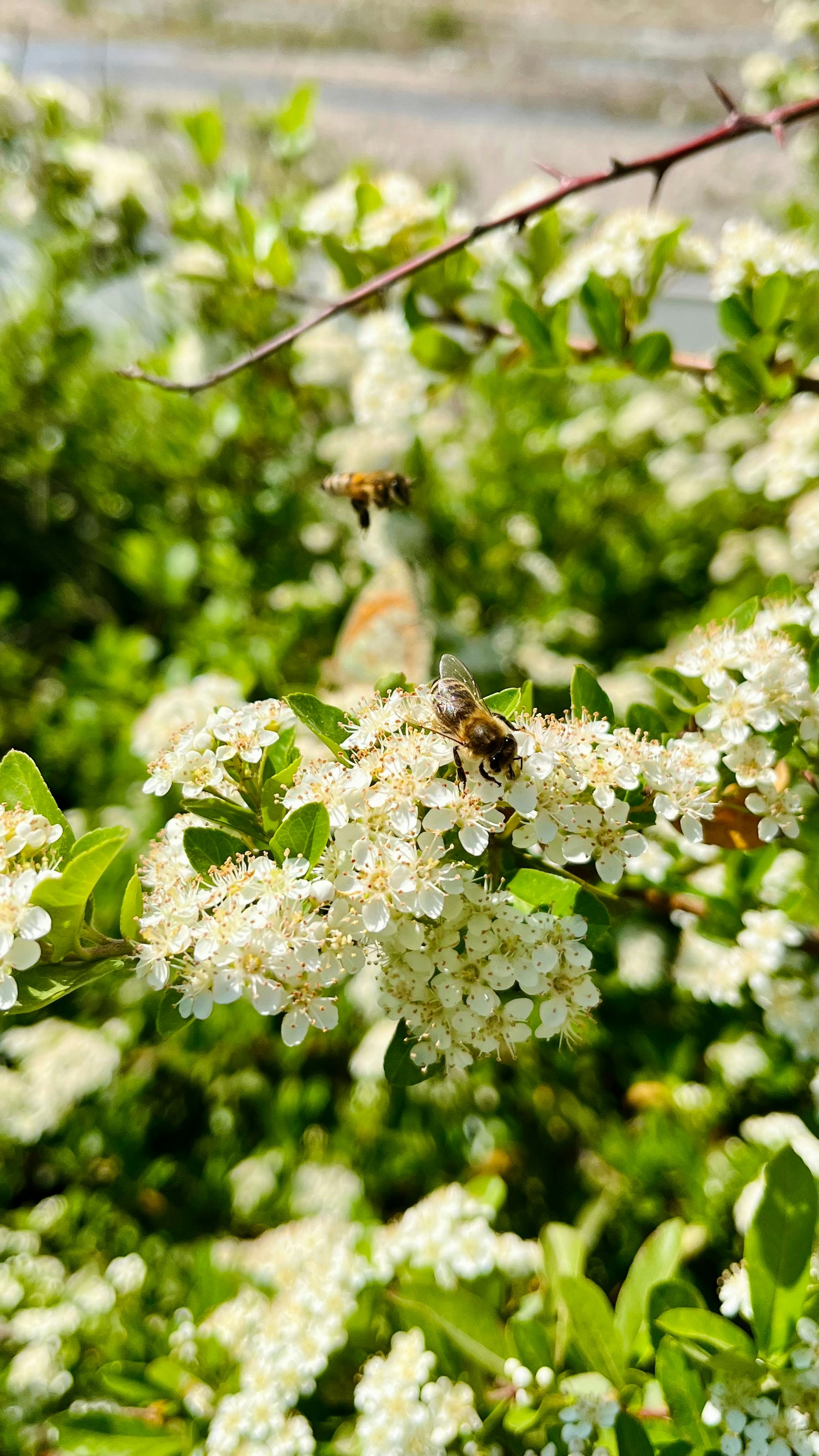 Photo by kimia_pakrah