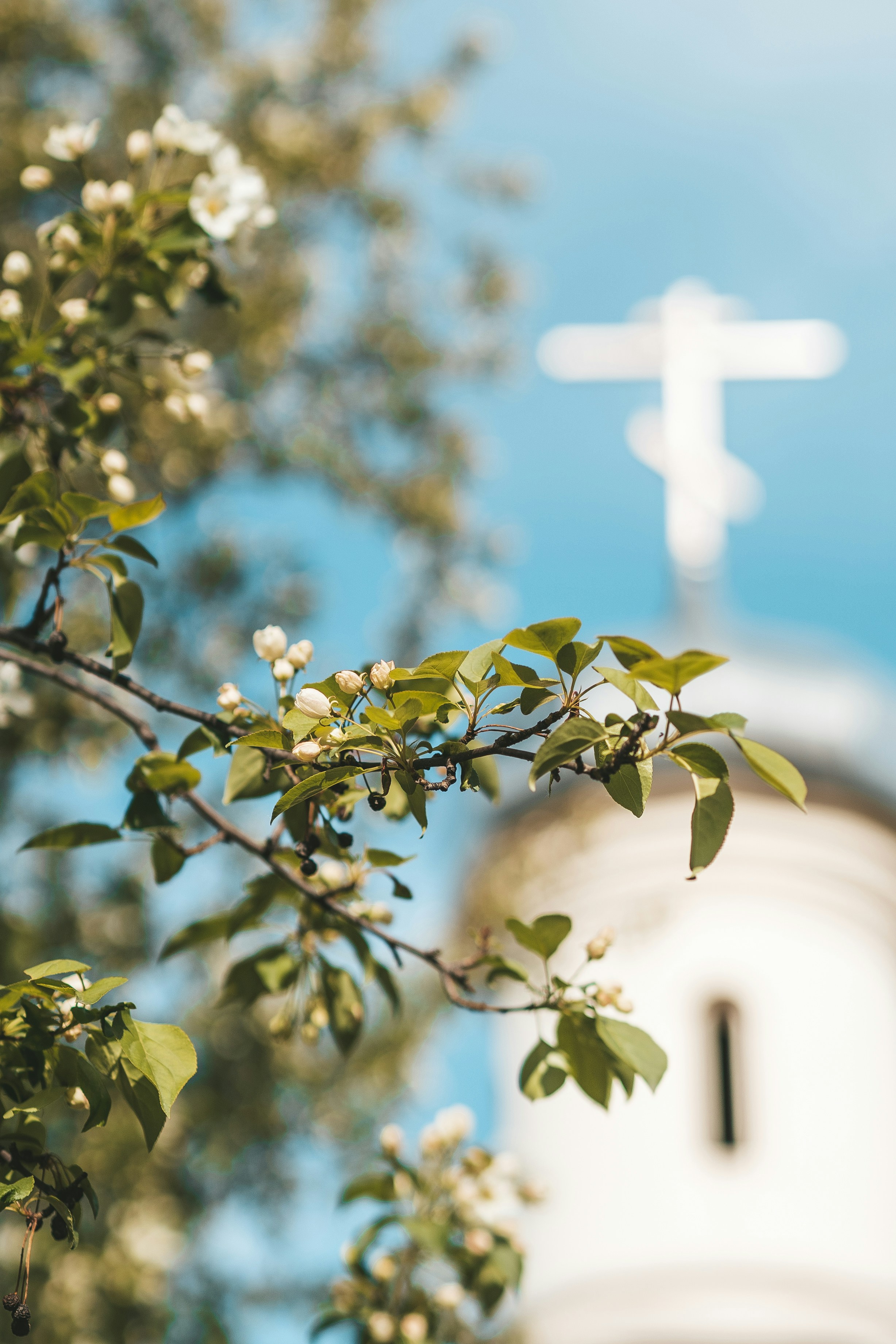 Photo by anamnesis33