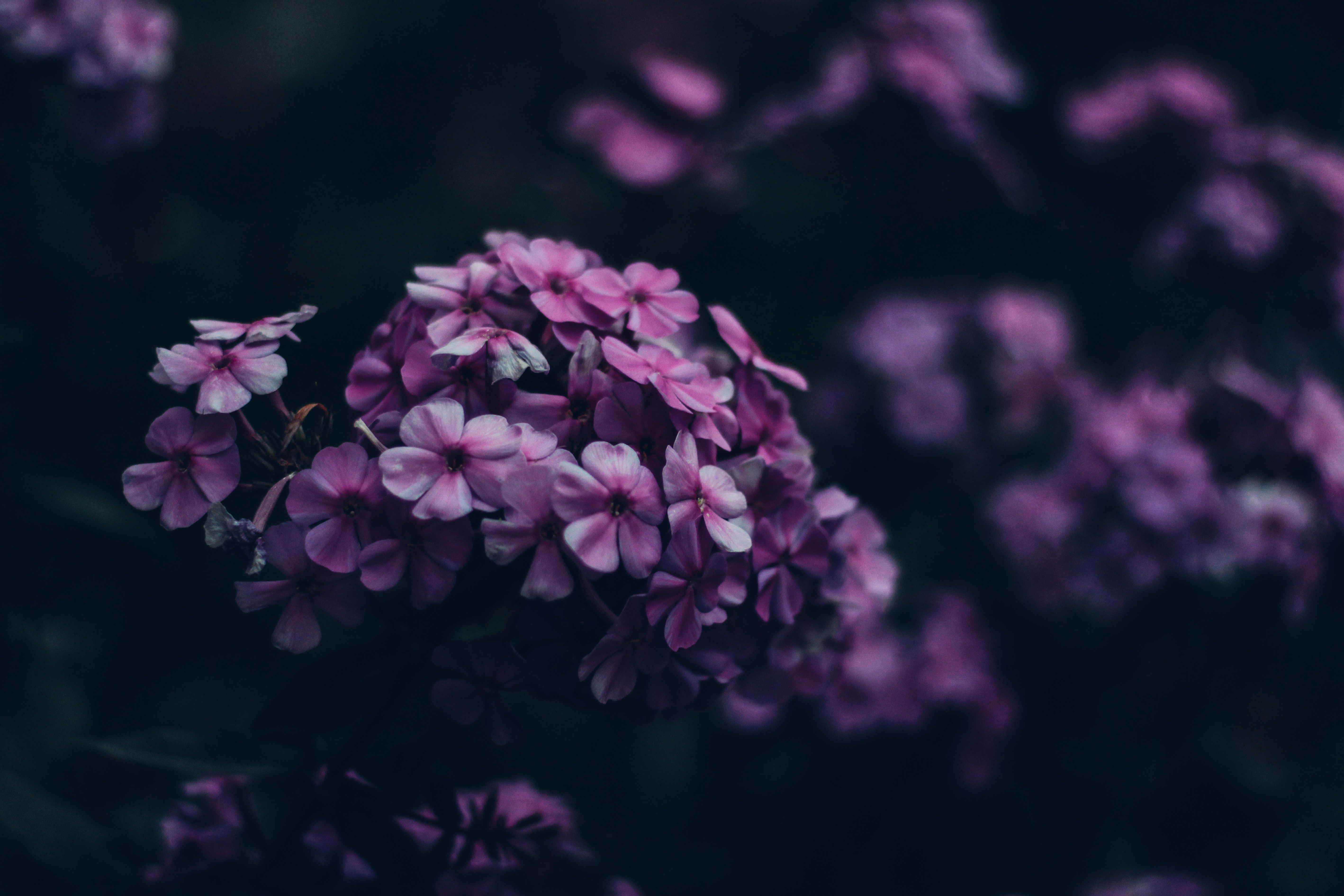 Photo by mineral_of_demon