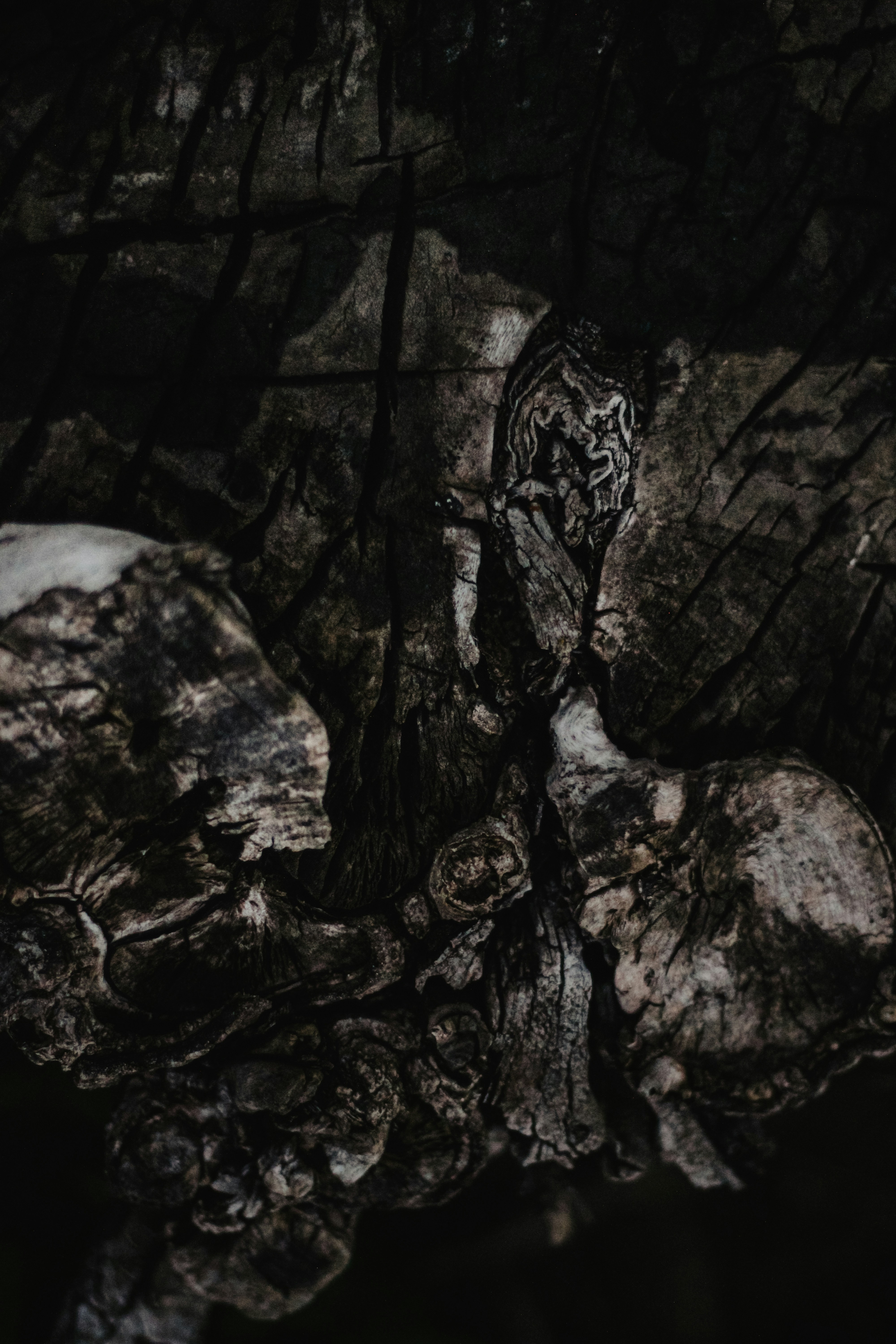 Photo by mineral_of_demon