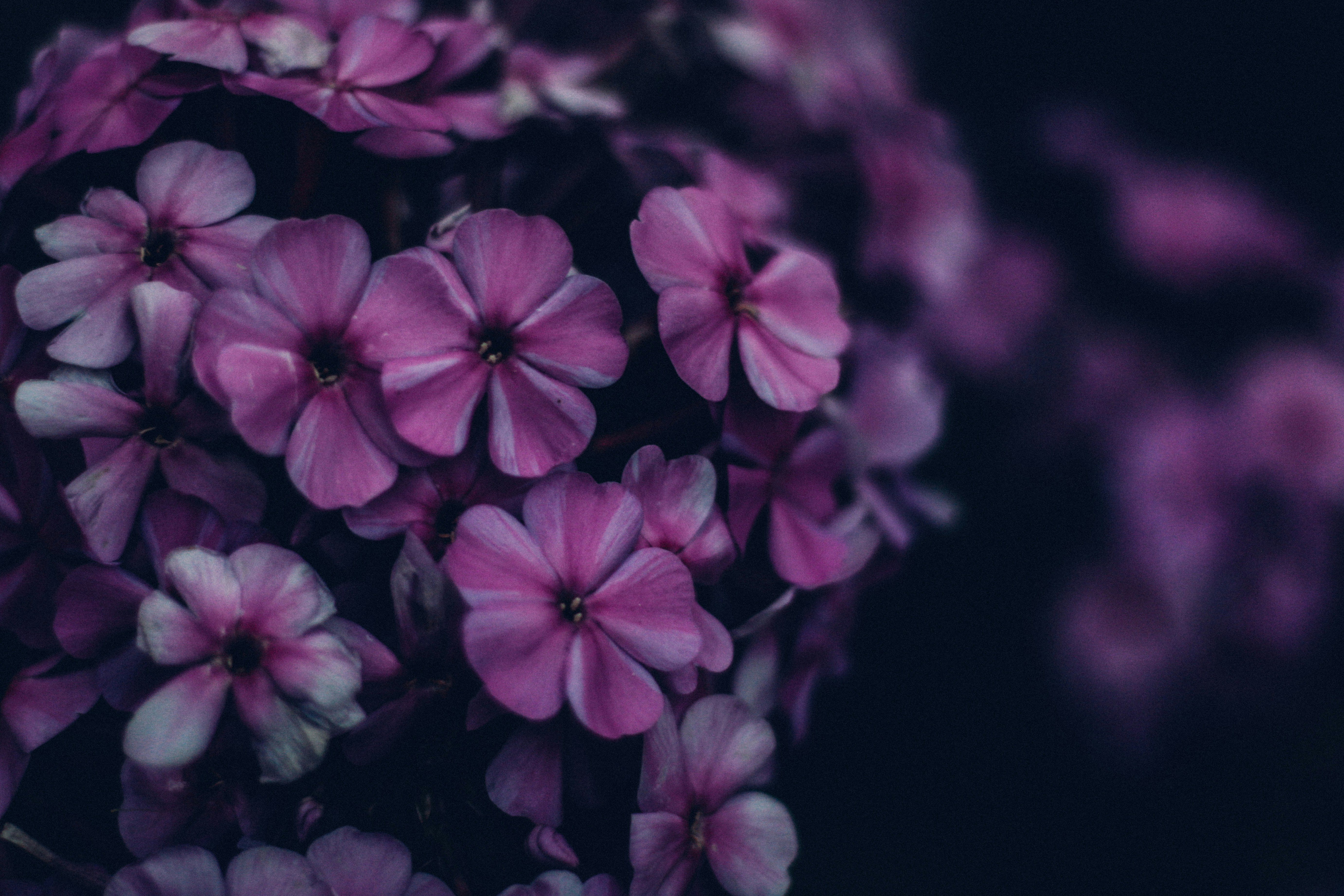 Photo by mineral_of_demon