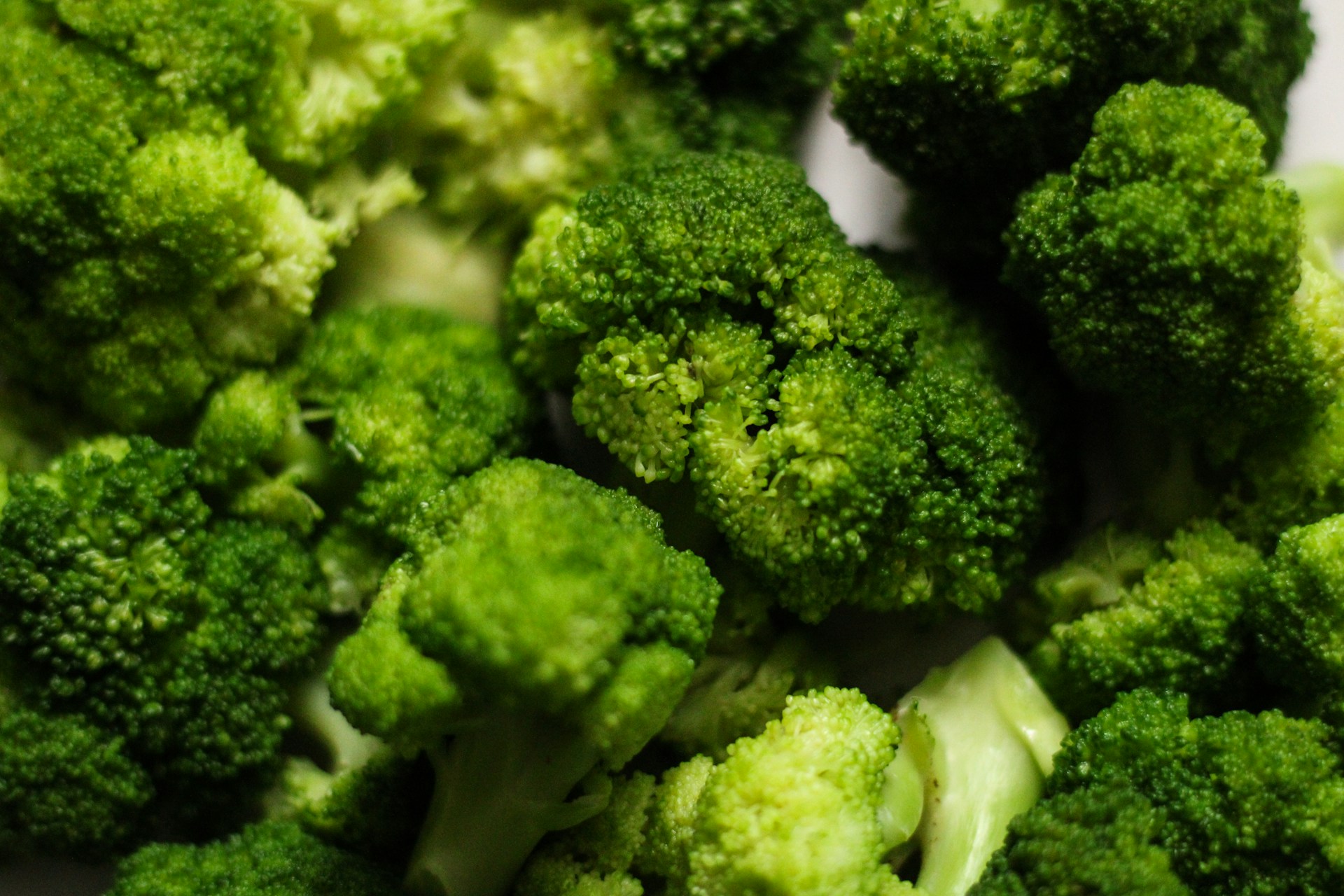 Close-up of fresh, green broccoli florets.