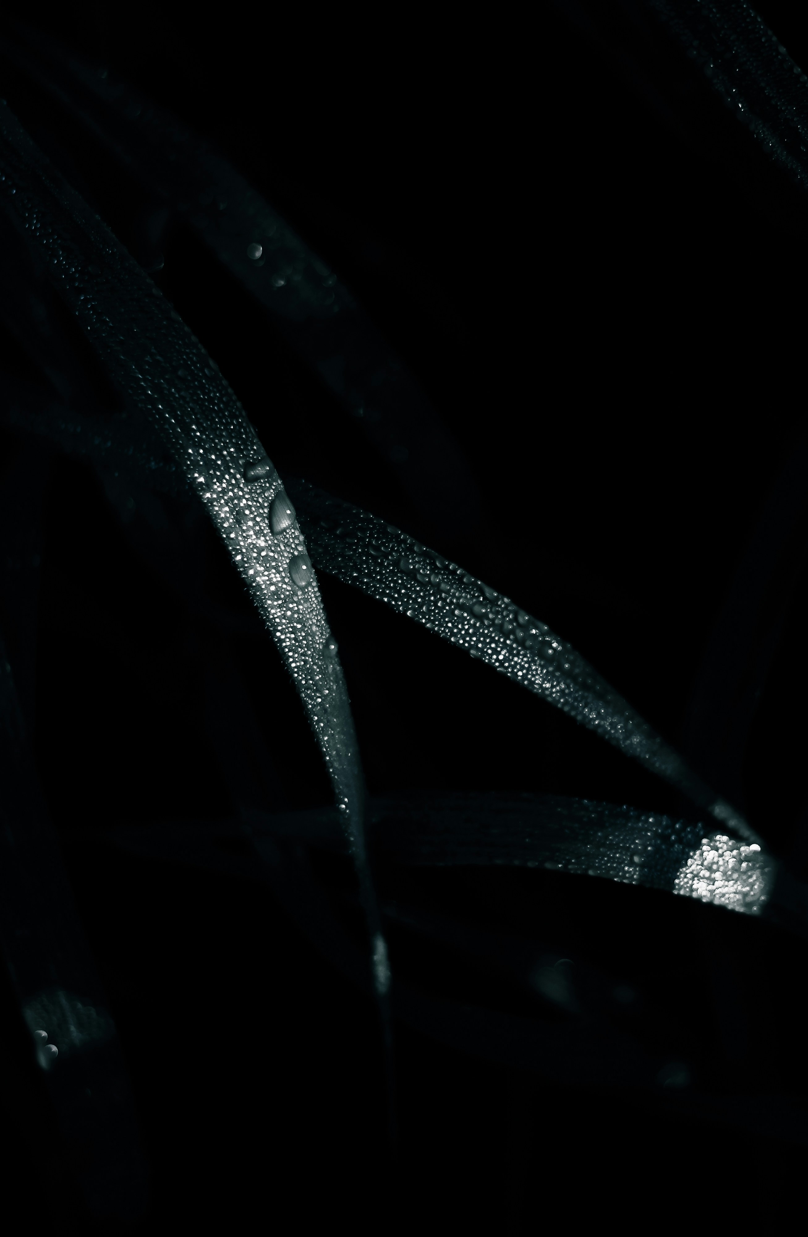 Photo by mineral_of_demon