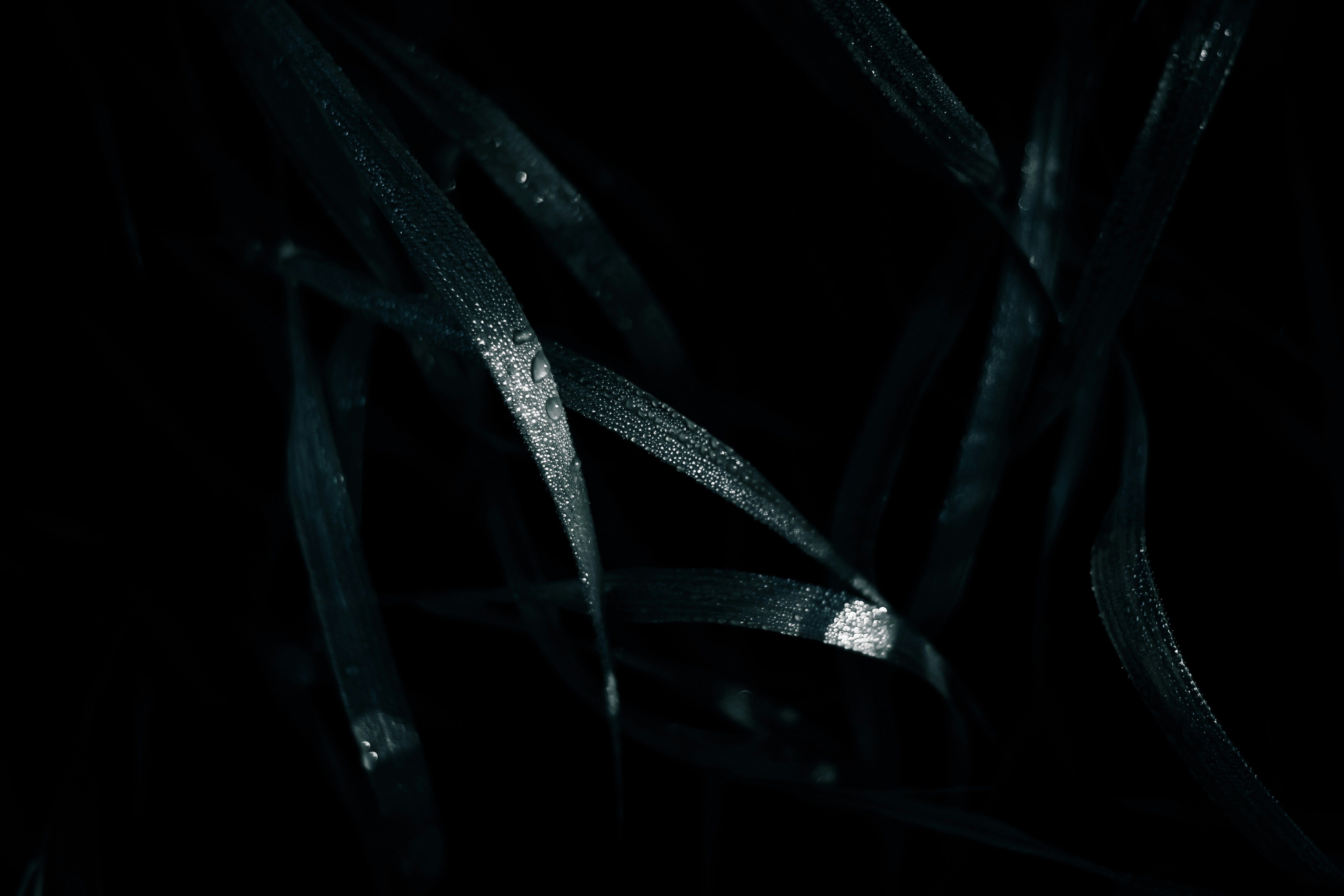 Photo by mineral_of_demon