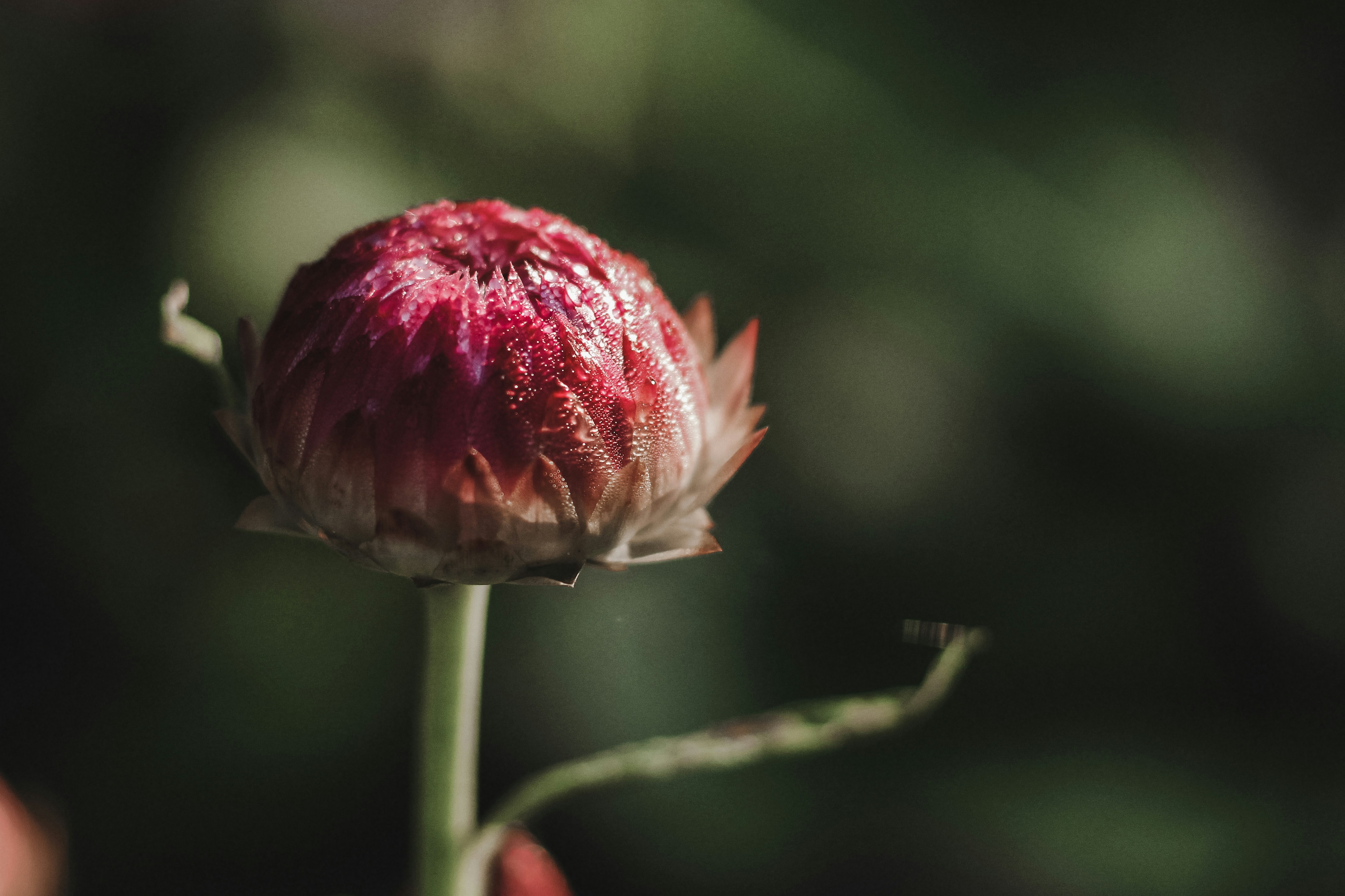 Photo by mineral_of_demon