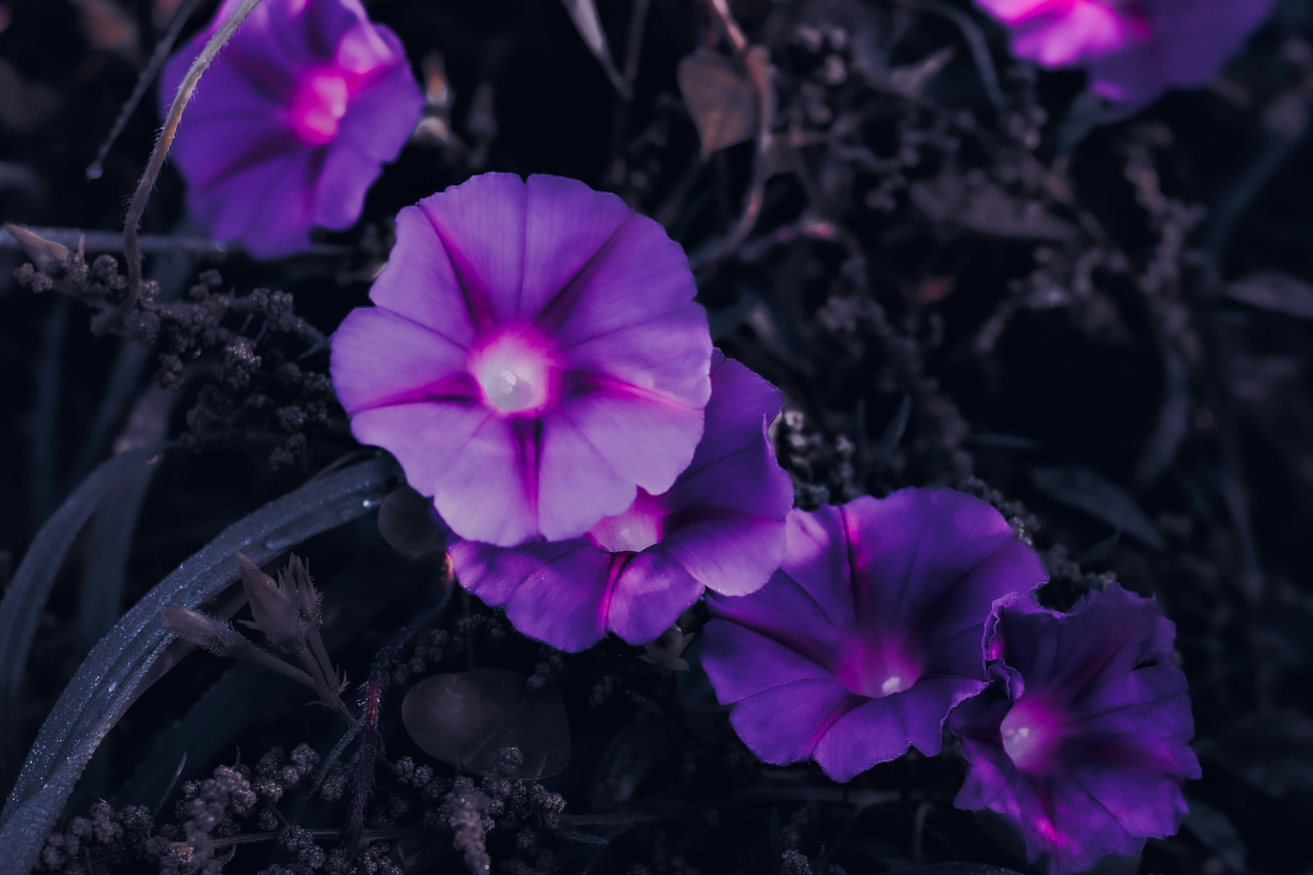 Photo by mineral_of_demon