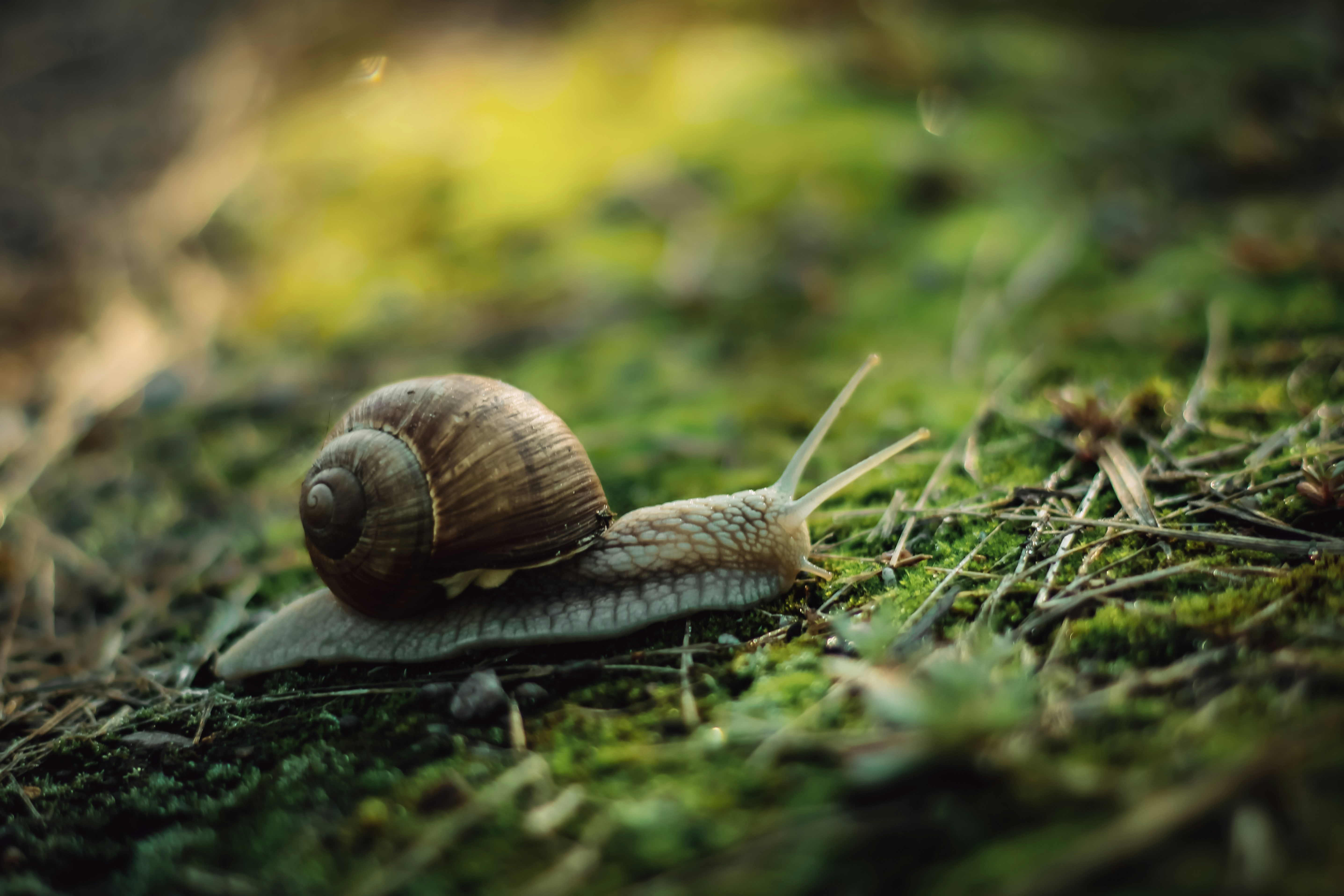 Photo by mineral_of_demon