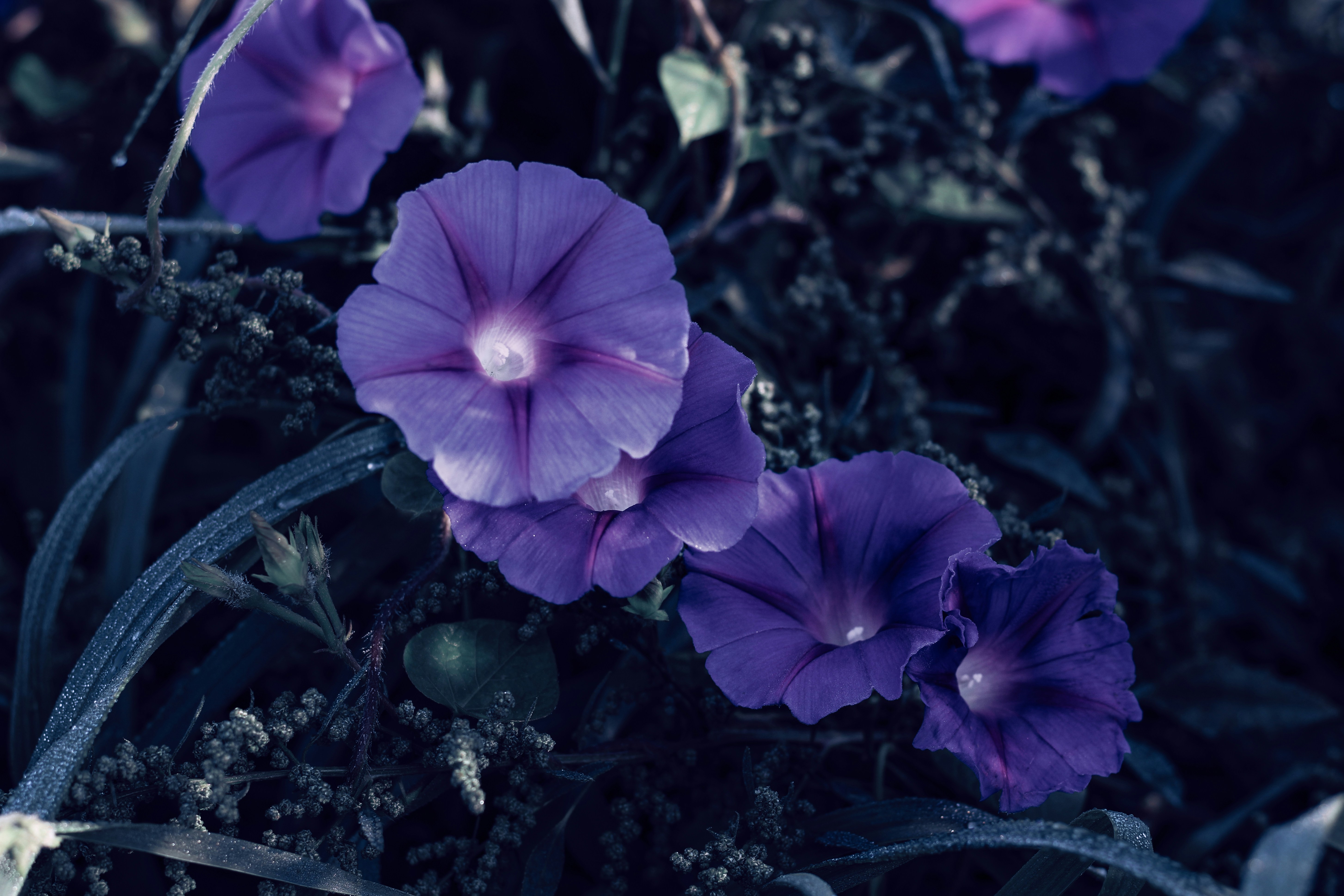 Photo by mineral_of_demon