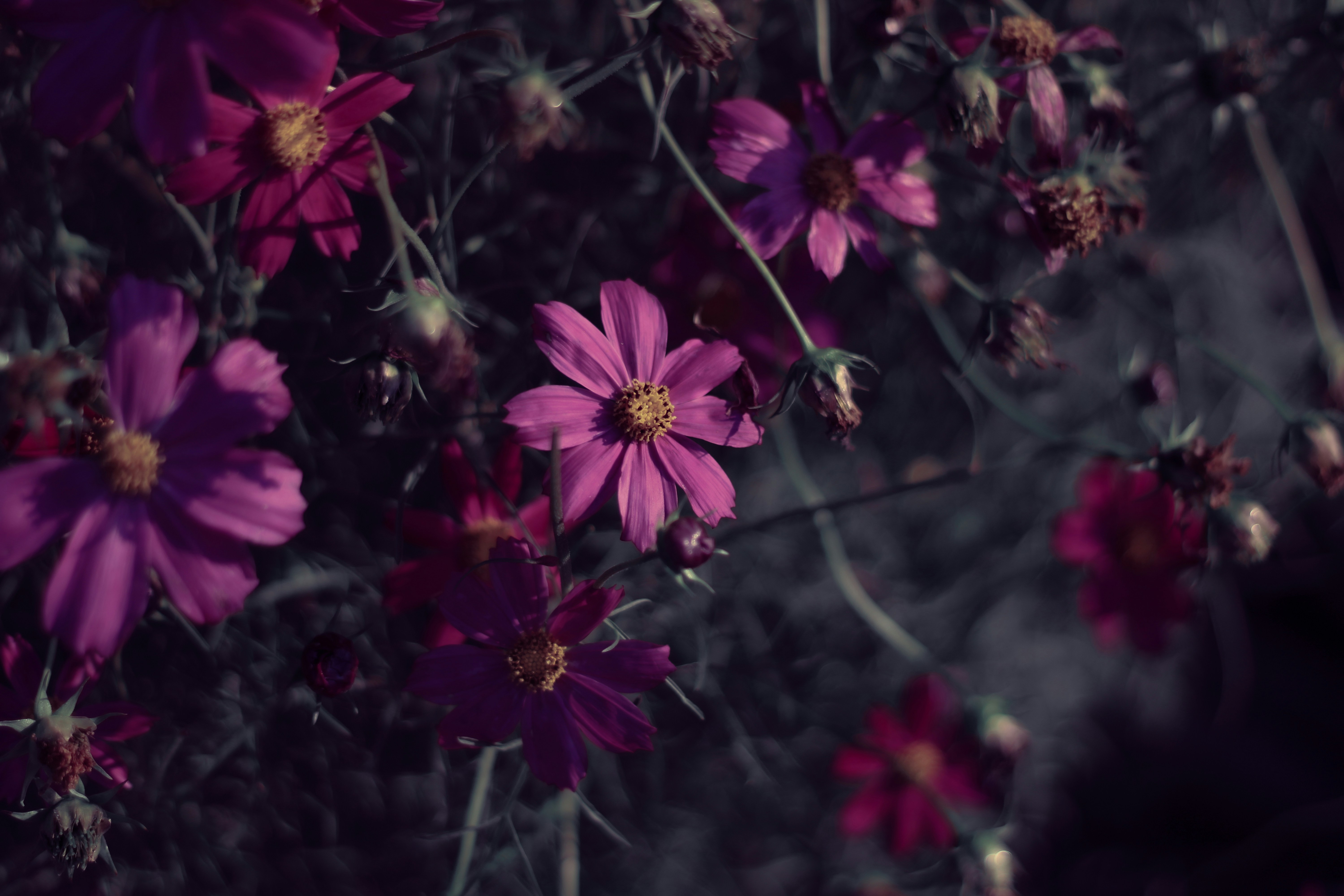 Photo by mineral_of_demon