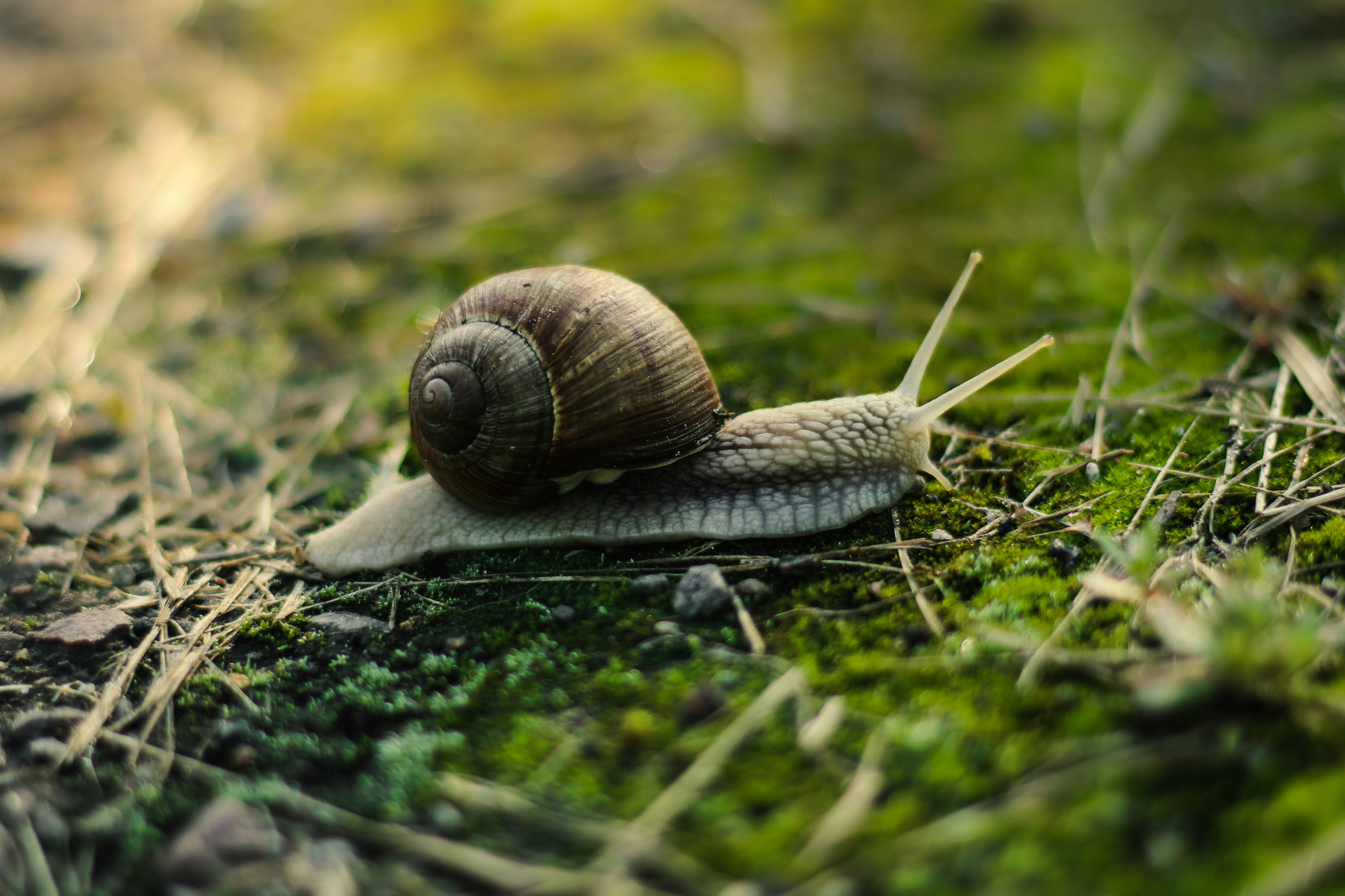 Photo by mineral_of_demon