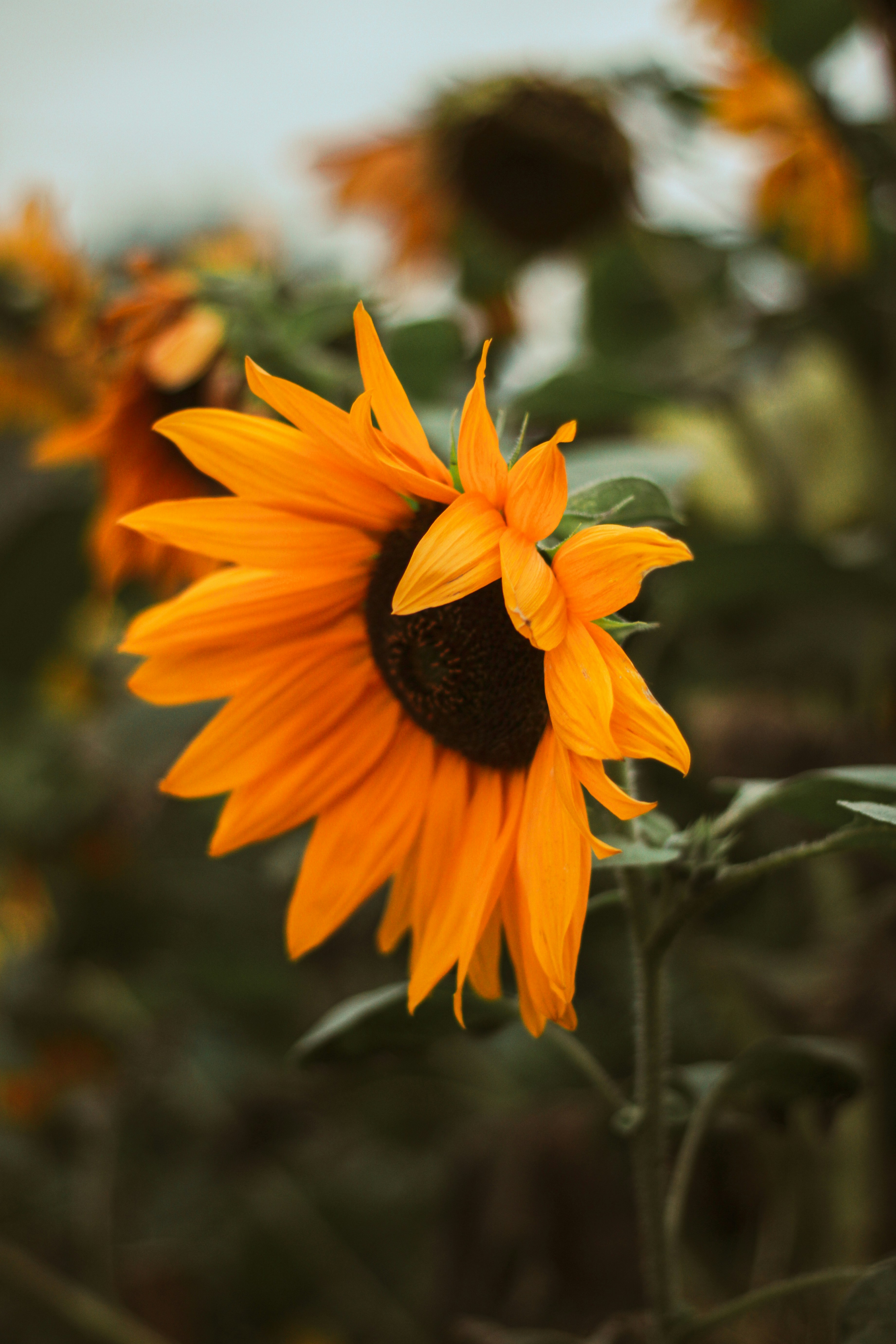 Photo by mineral_of_demon