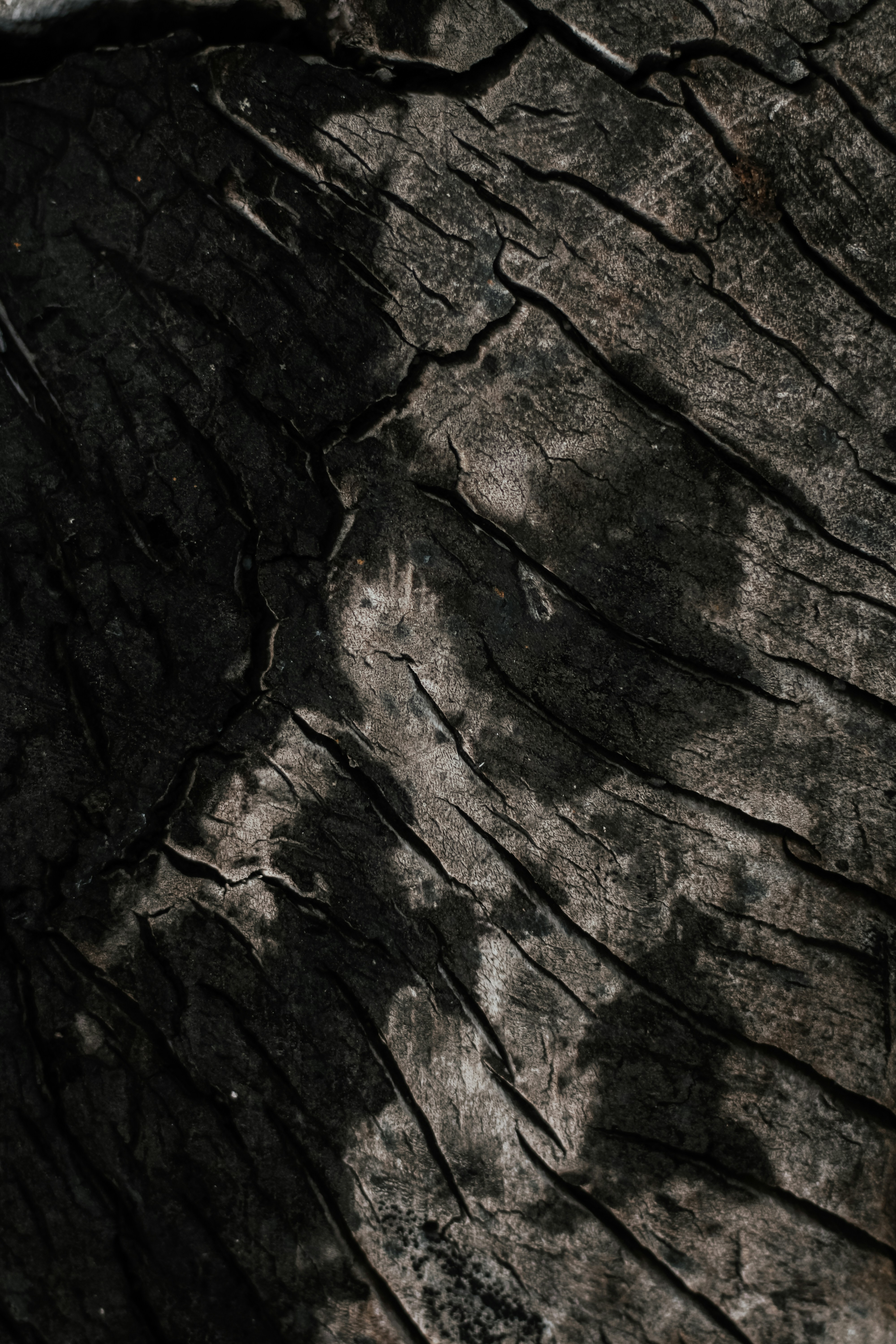 Photo by mineral_of_demon