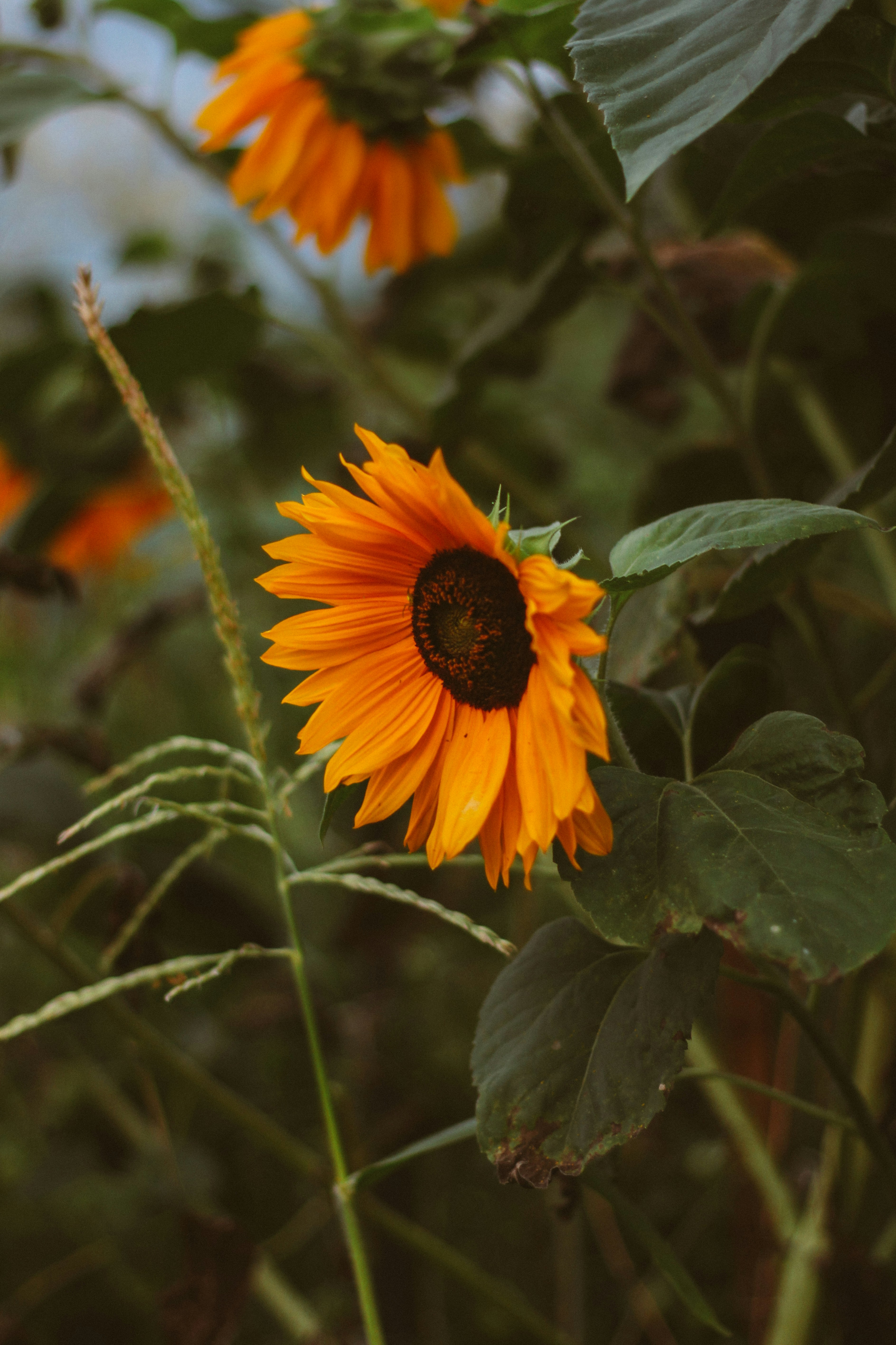 Photo by mineral_of_demon